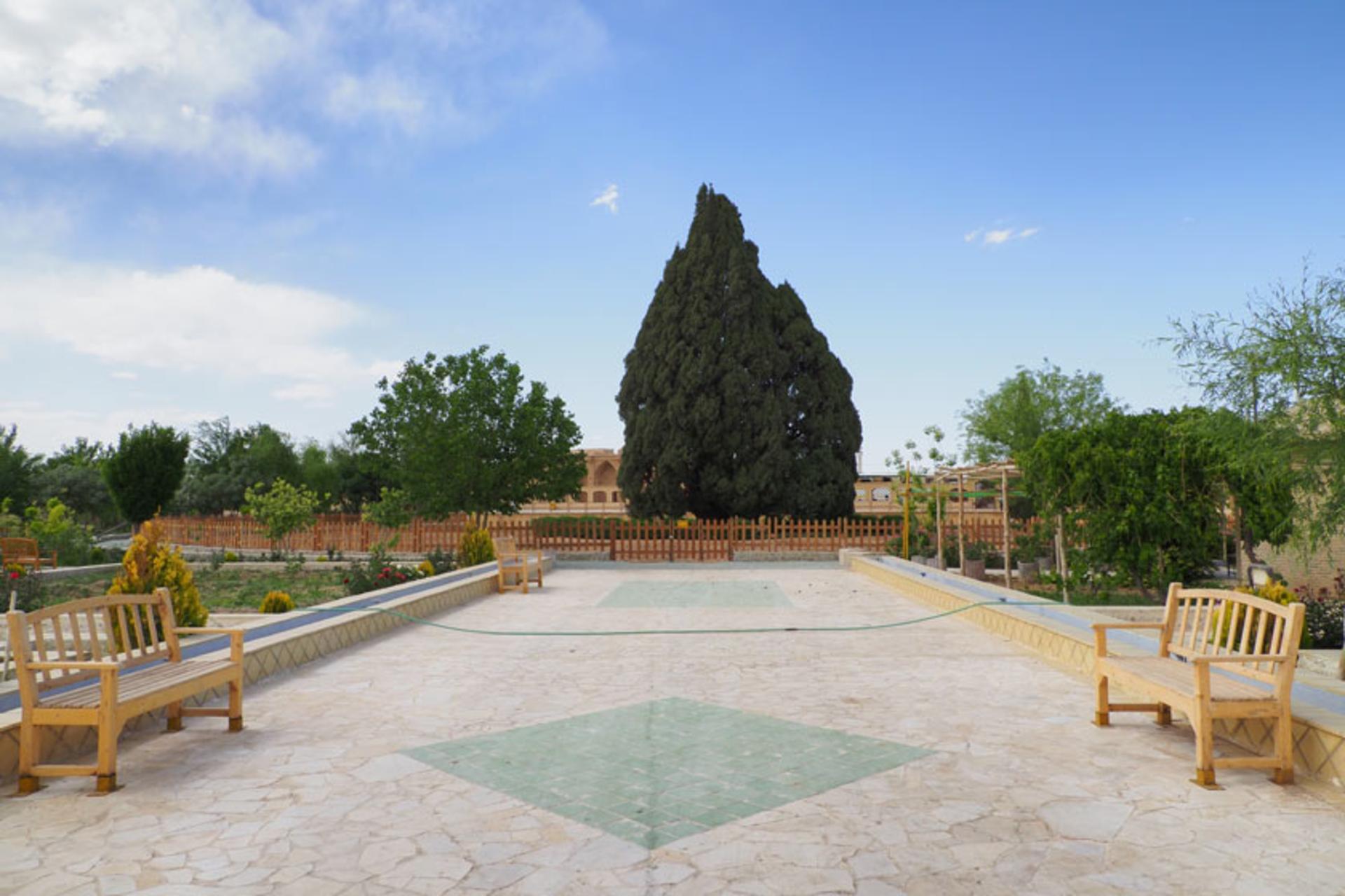 مسیر منتهی به سرو ابرکوه