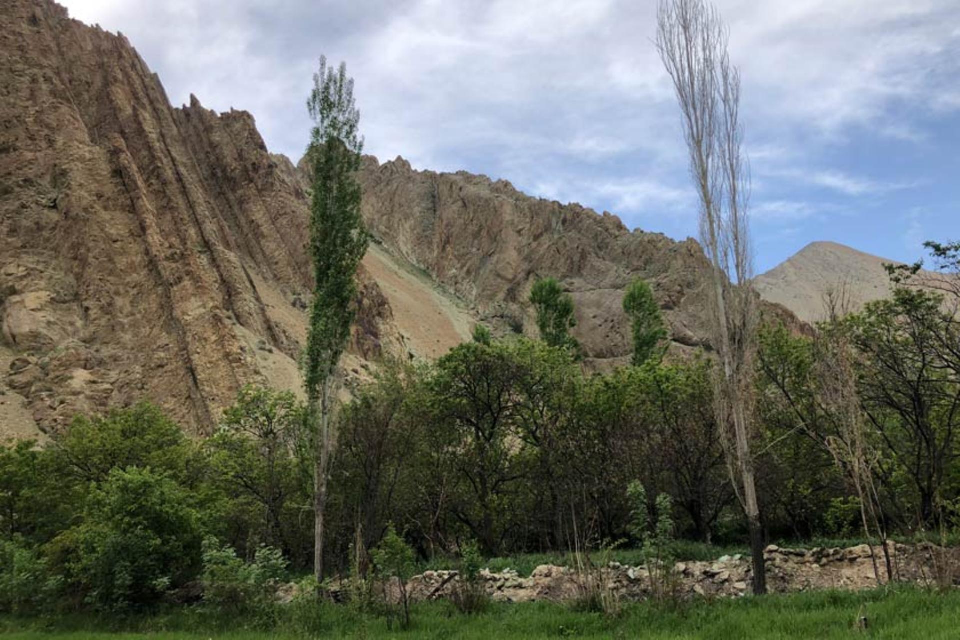 طبیعت سرسبز در روستای زرین دشت