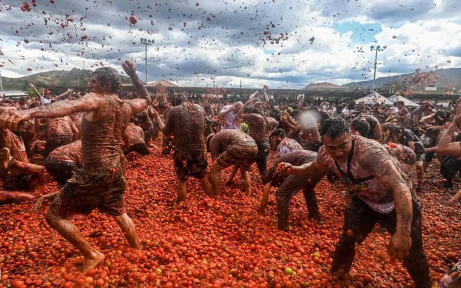 پرتاب گوجه به یکدیگر در جشنواره گوجه‌فرنگی کلمبیا 