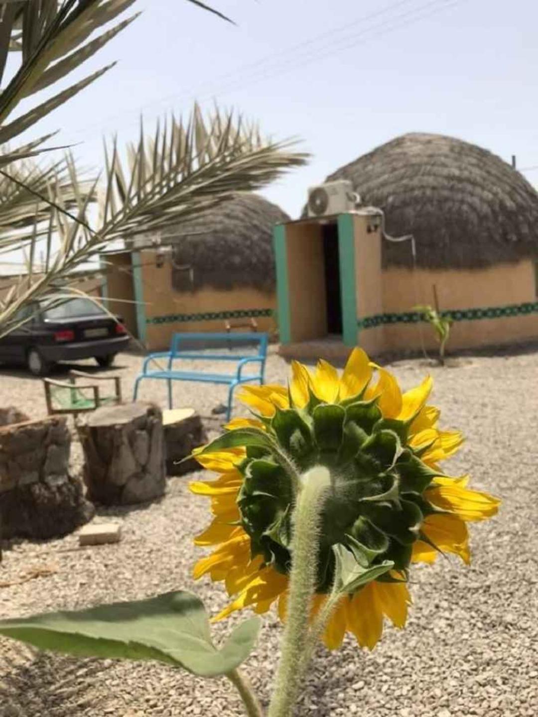 بومگردی کپری گرگیج