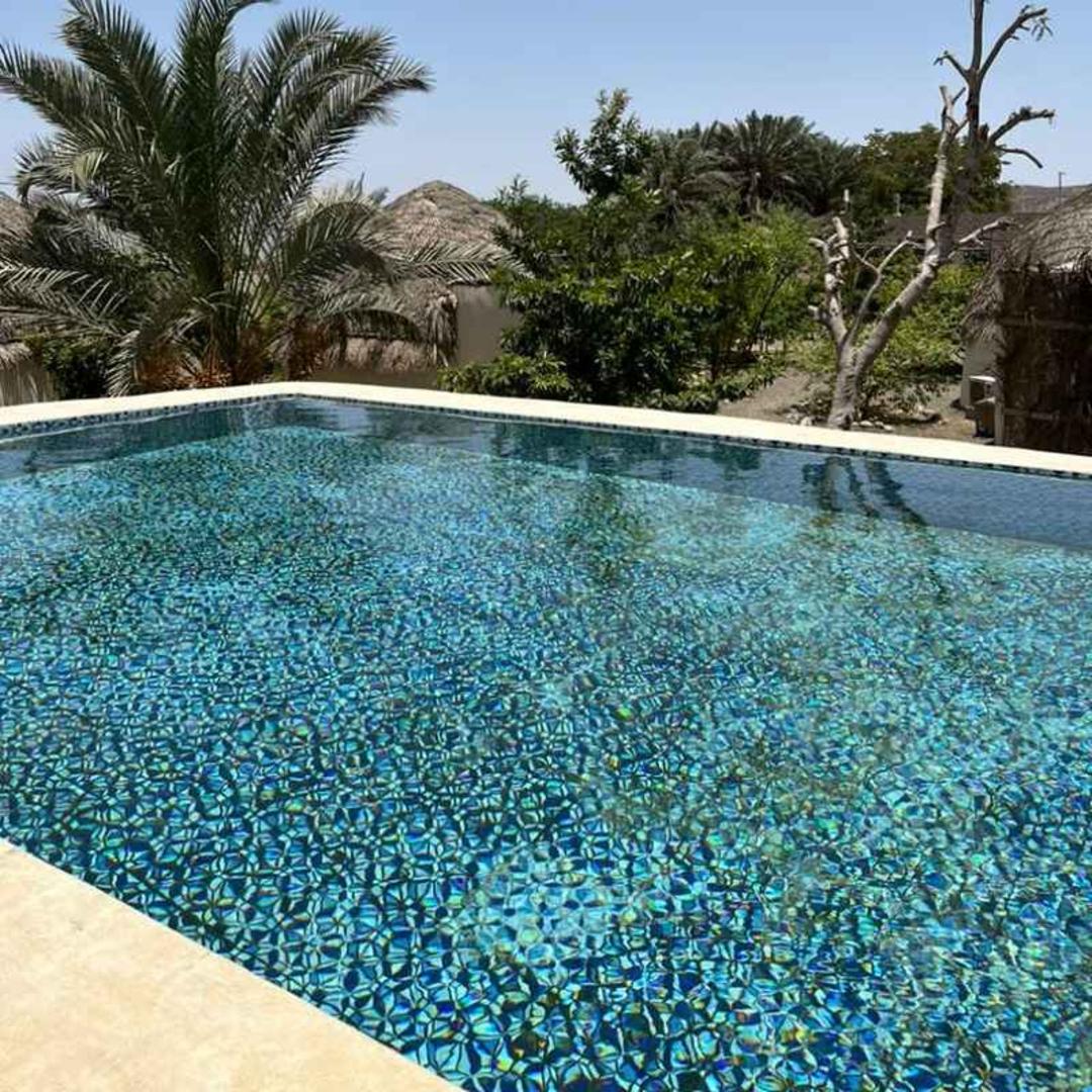 بومگردی چیکو