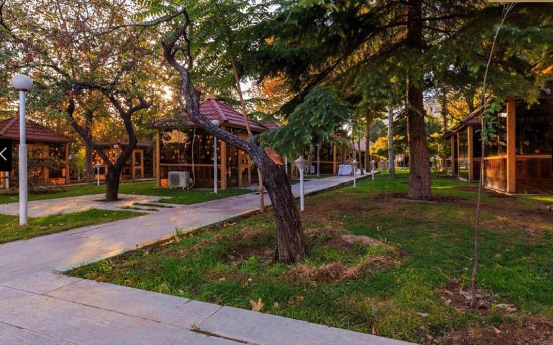 آلاچیق‌های چوبی رستوران آجودانیه تهران