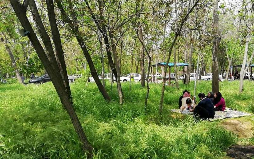 پیک نیک یک خانواده در بوستان جنگلی غدیر