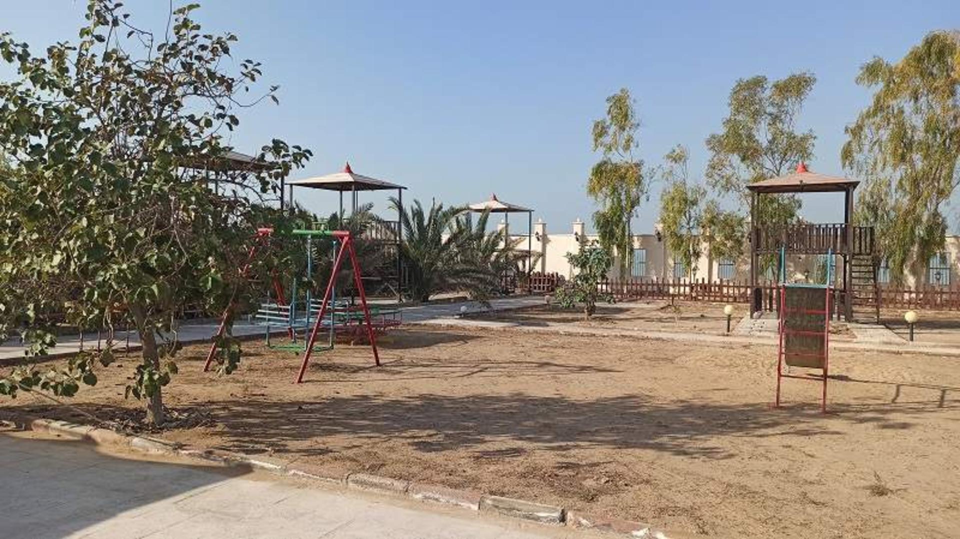 بومگردی جالبوت بوجیکدان