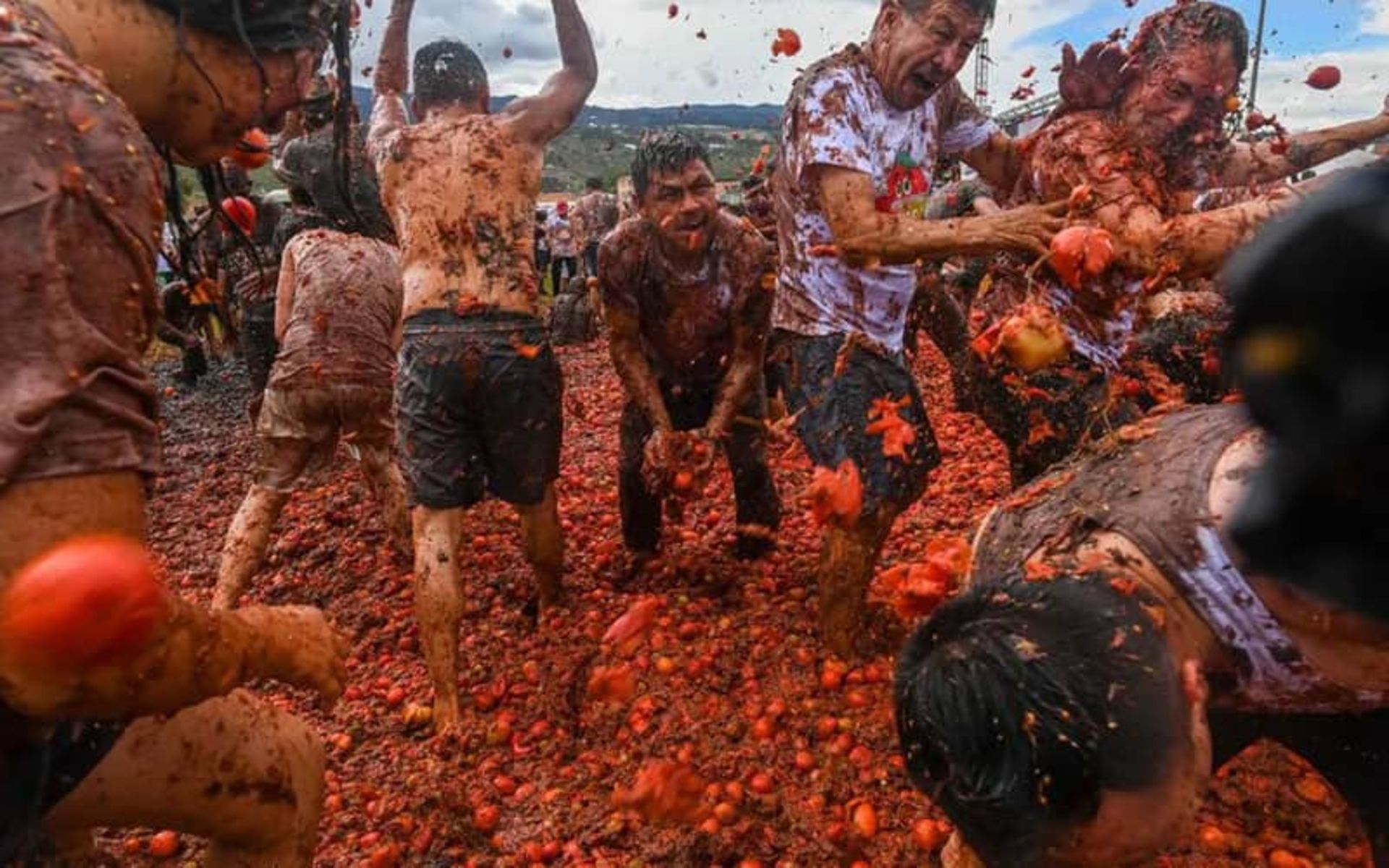 مبارزه با گوجه در جشنواره گوجه‌فرنگی کلمبیا 