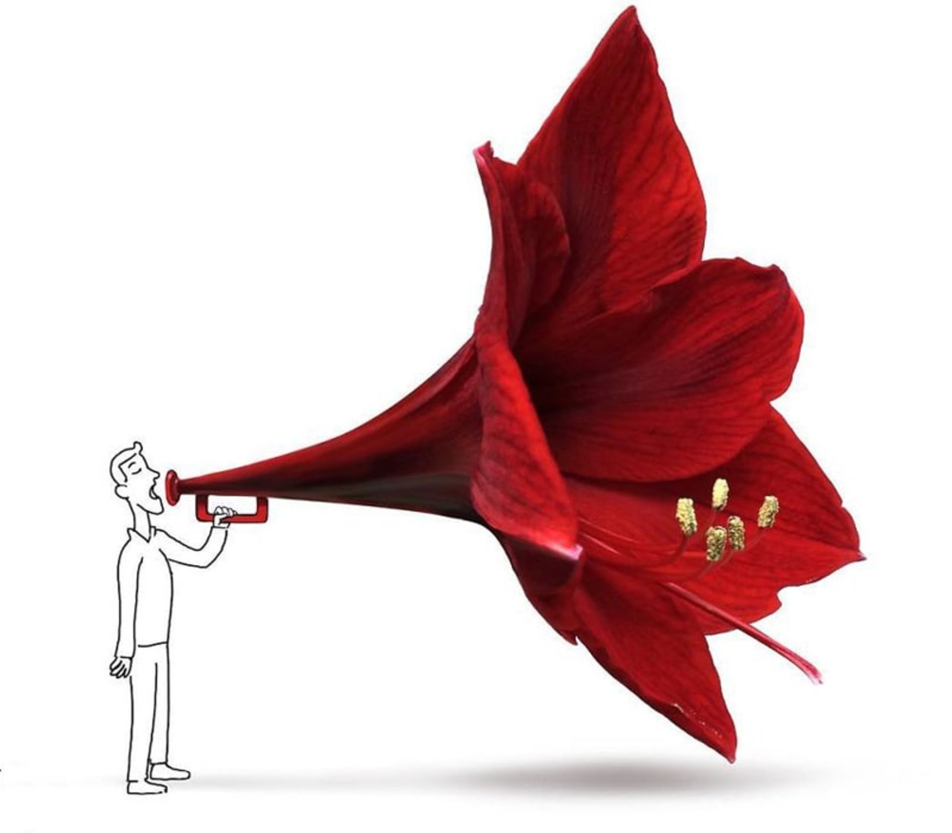 طراحی گل به شکل شیپور