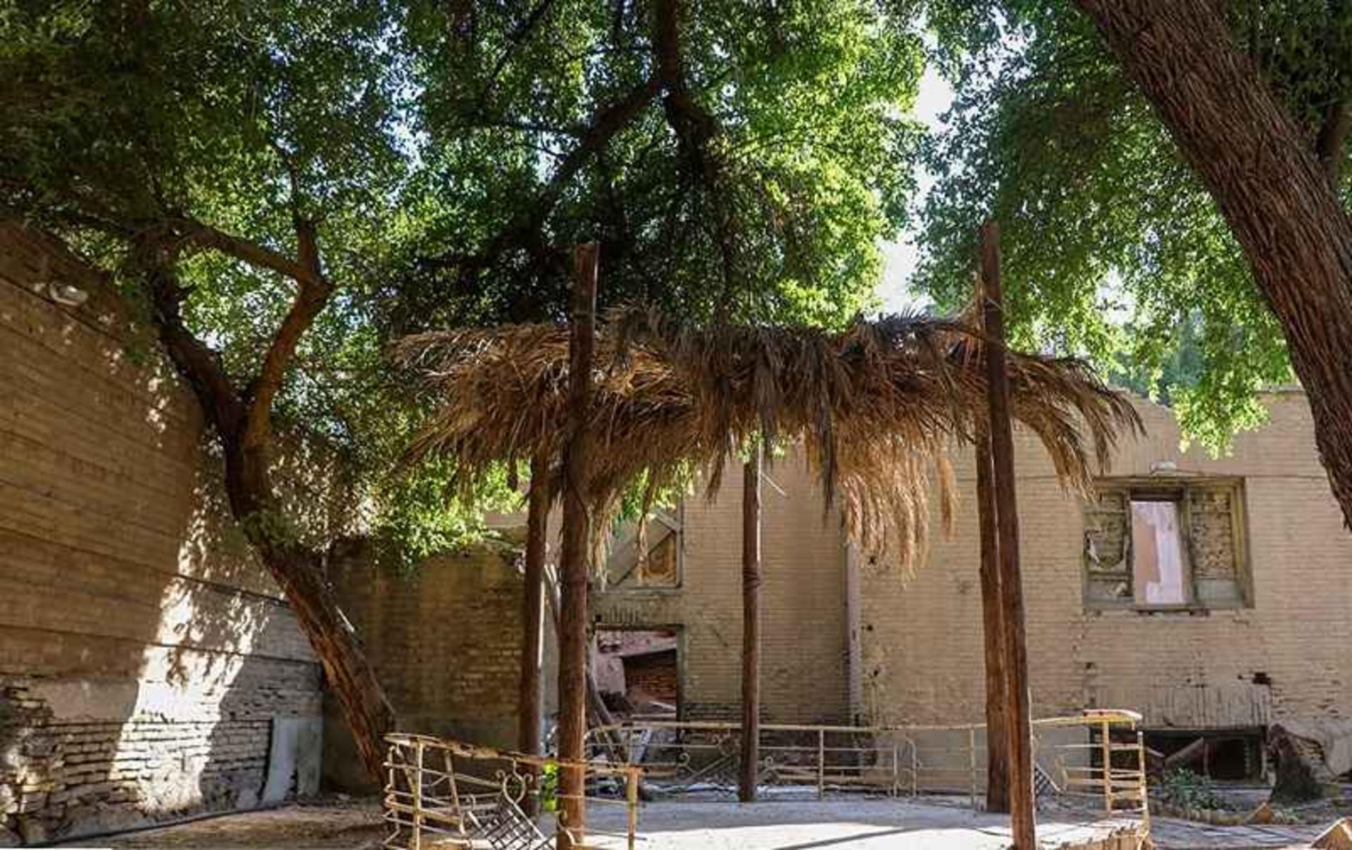 درختان هتل قو اهواز