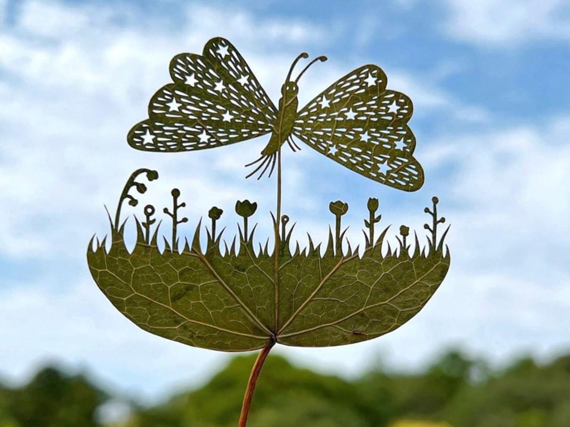 حکاکی پروانه روی برگ