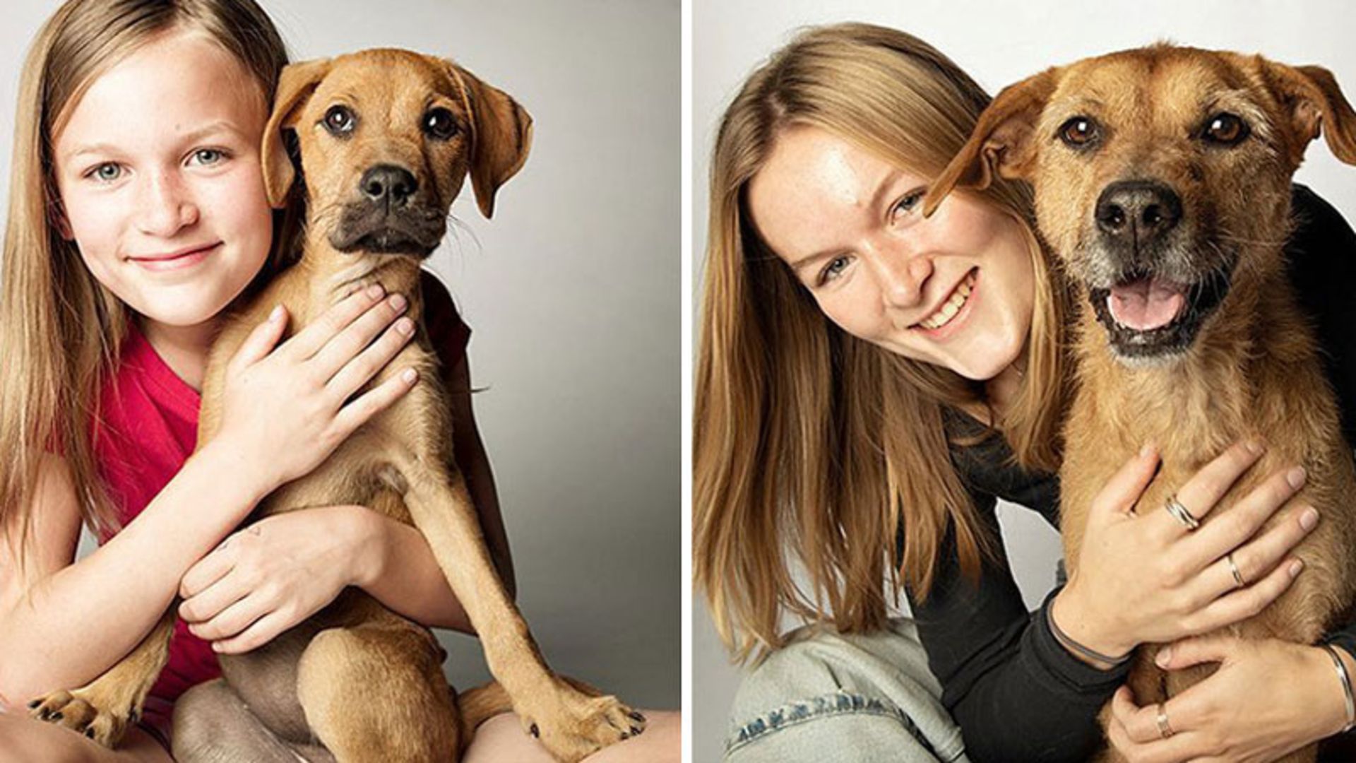 عکس سگ و صاحبش