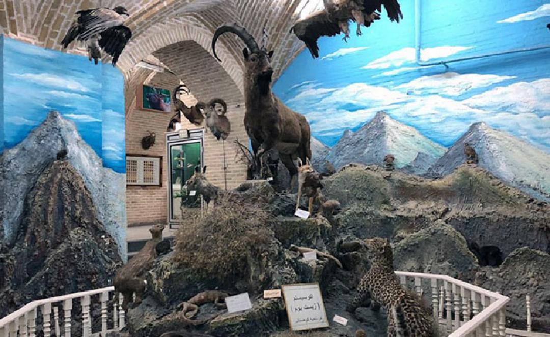 موزه علوم طبیعی یزد
