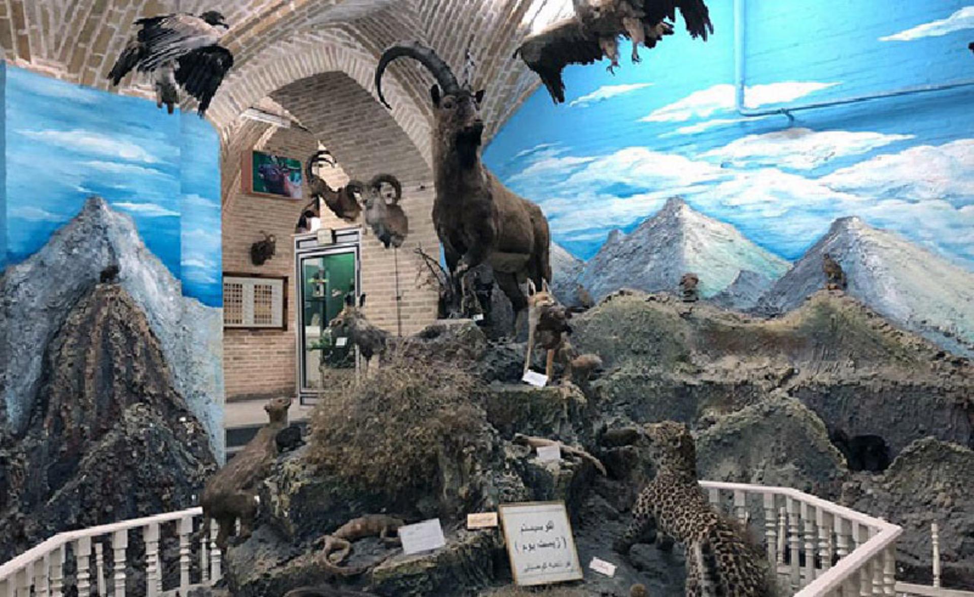 موزه علوم طبیعی یزد