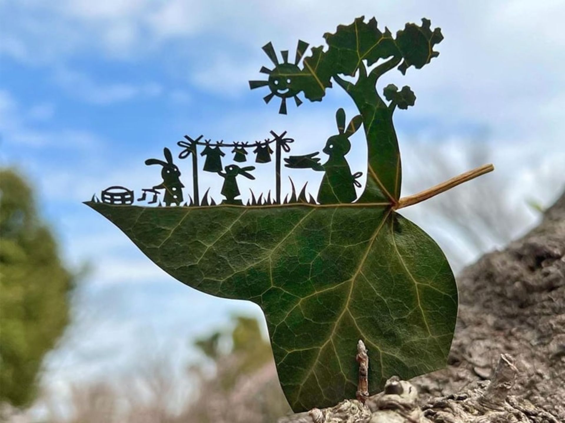 حکاکی خانه خرگوش ها روی برگ