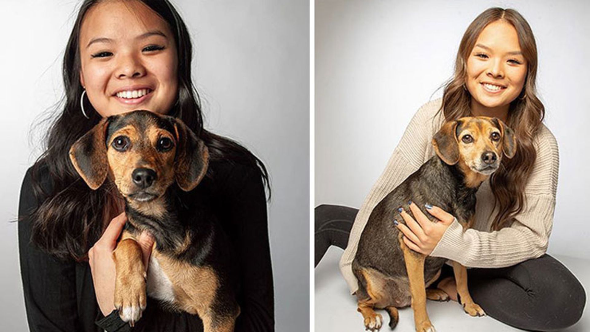 سگ در آغوش صاحبش