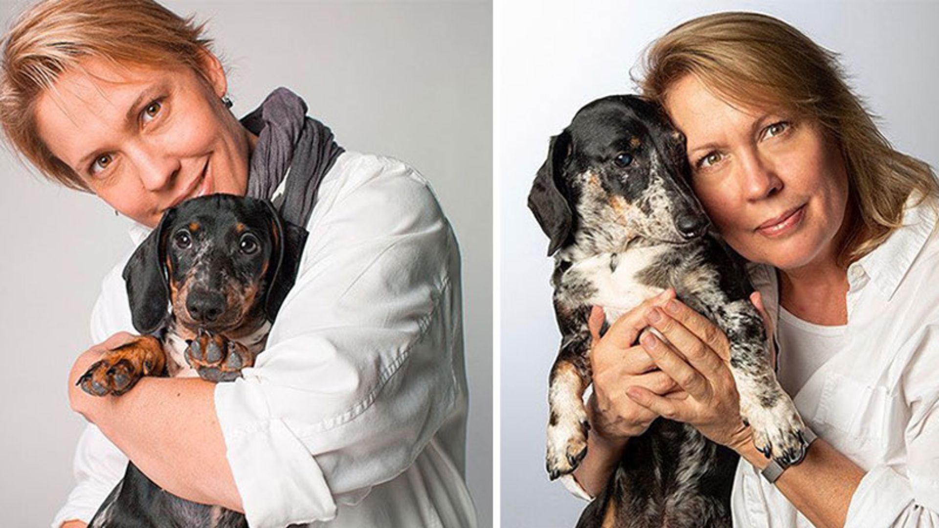 سگ در آغوش صاحبش