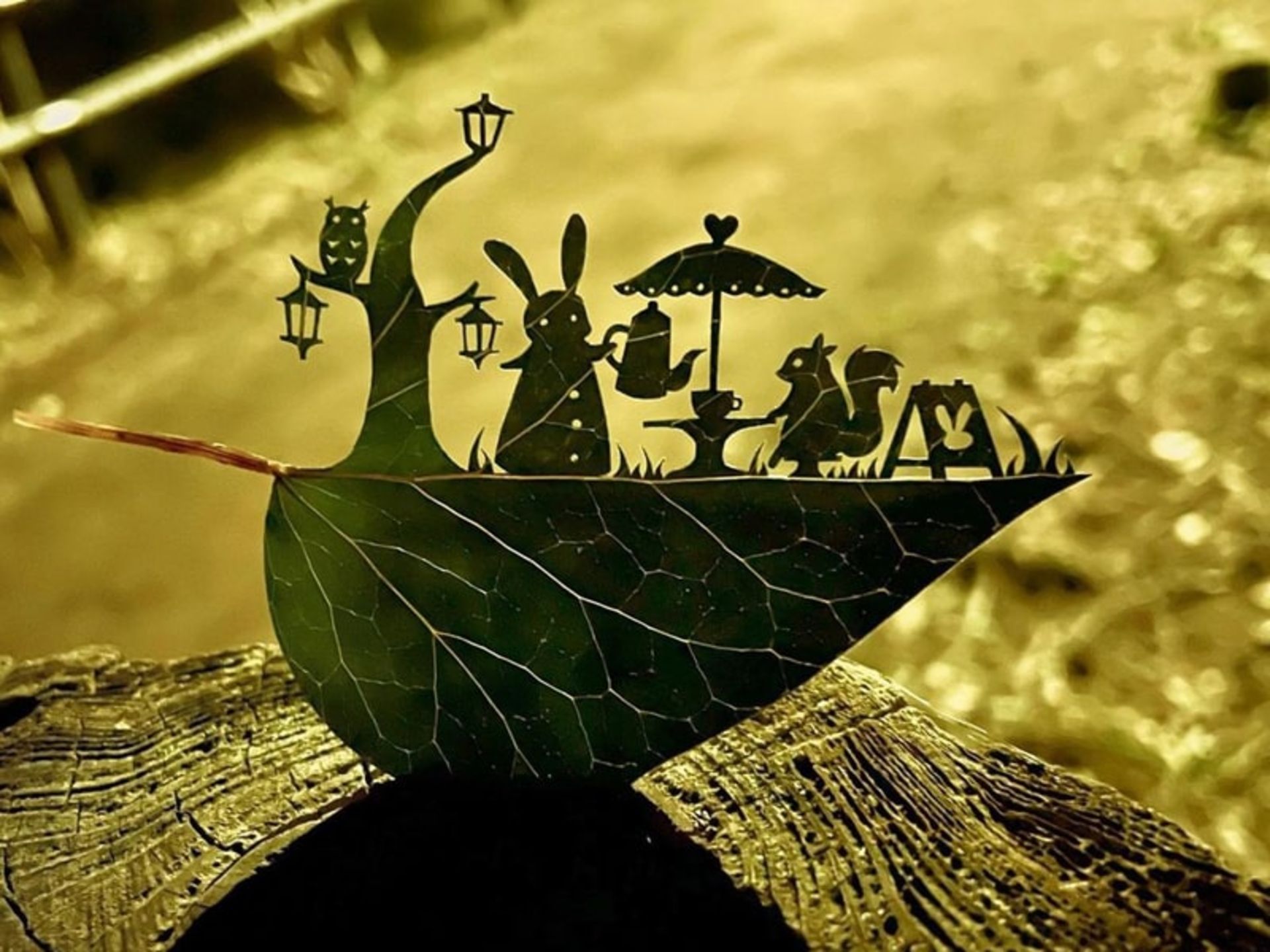 حکاکی خانواده خرگوش‌ها روی برگ