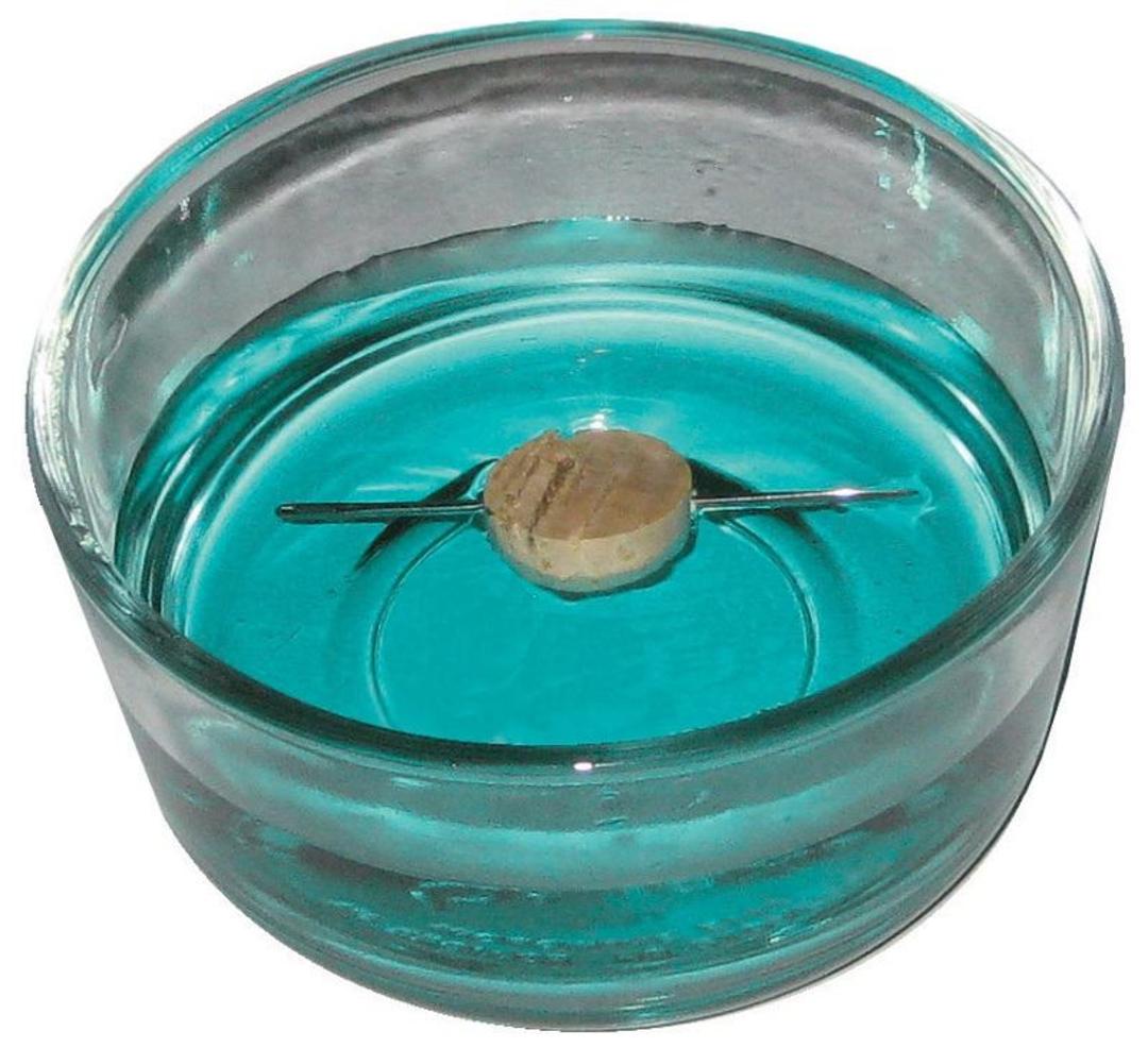 قطب نمای خانگی