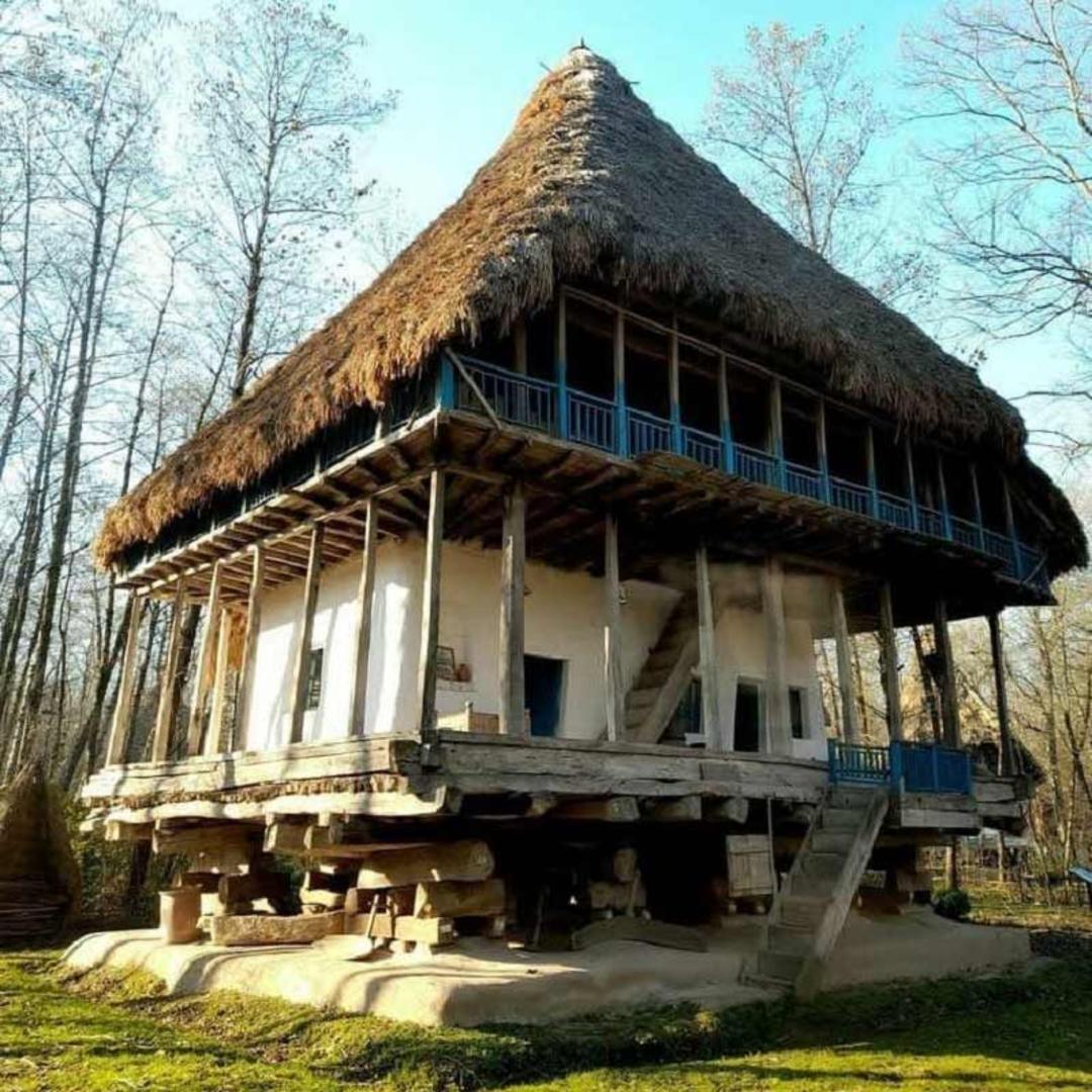 موزه میراث روستایی گیلان در جنگل سراوان رشت؛ منبع عکس: اینستاگرام gilan_rural_heritage_museum؛ عکاس: ناشناس