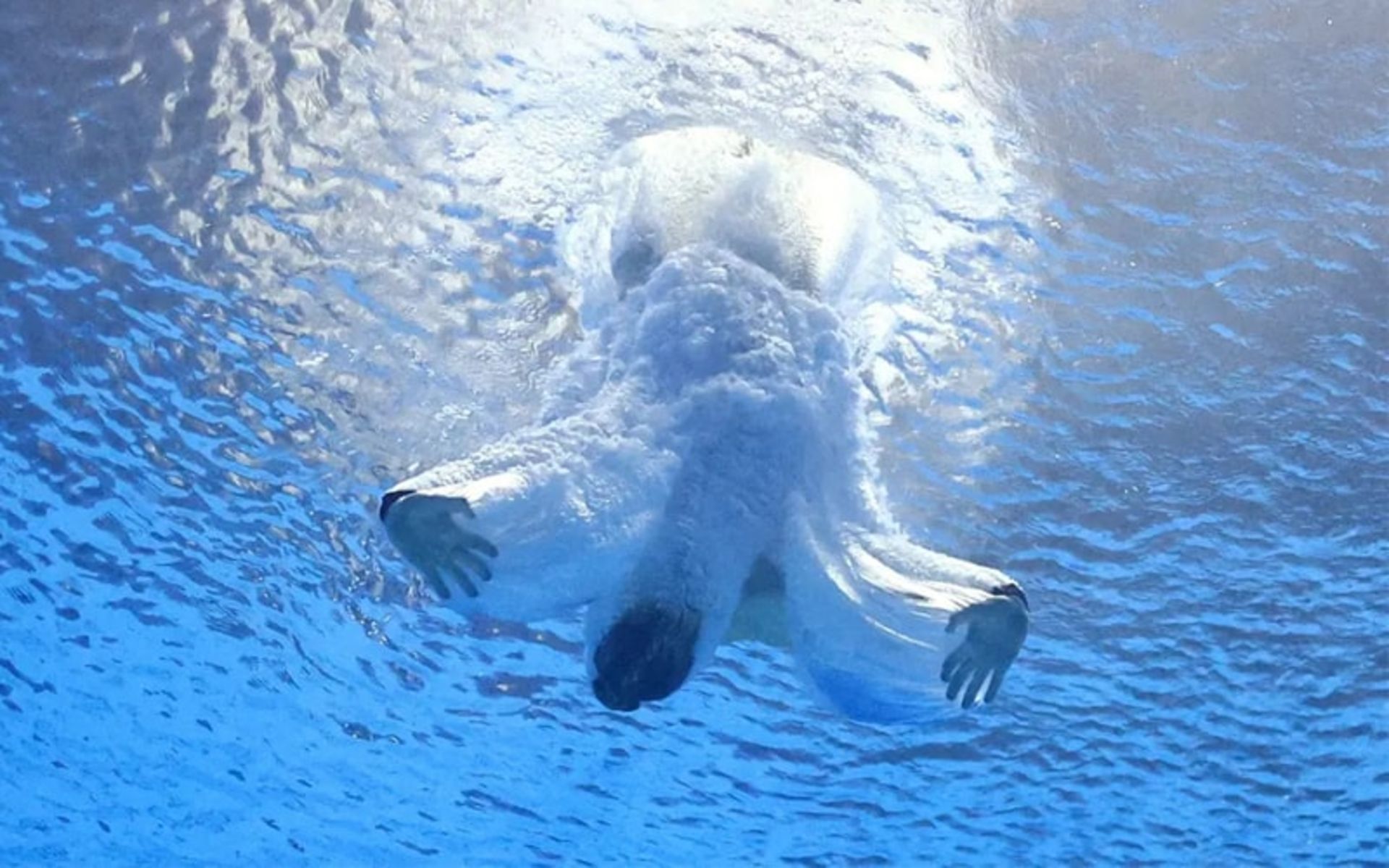 لحظه شیرجه زدن در آب