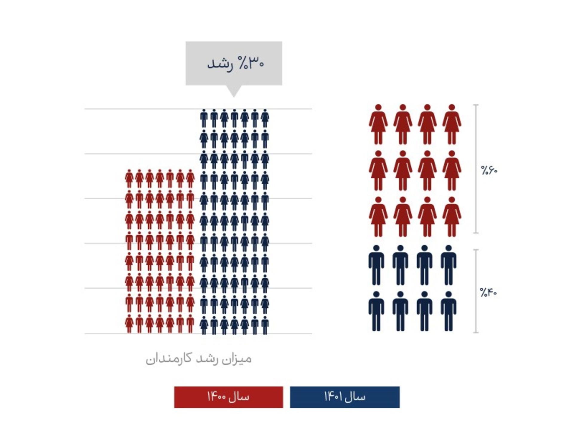 گزارش سالانه فلای تودی