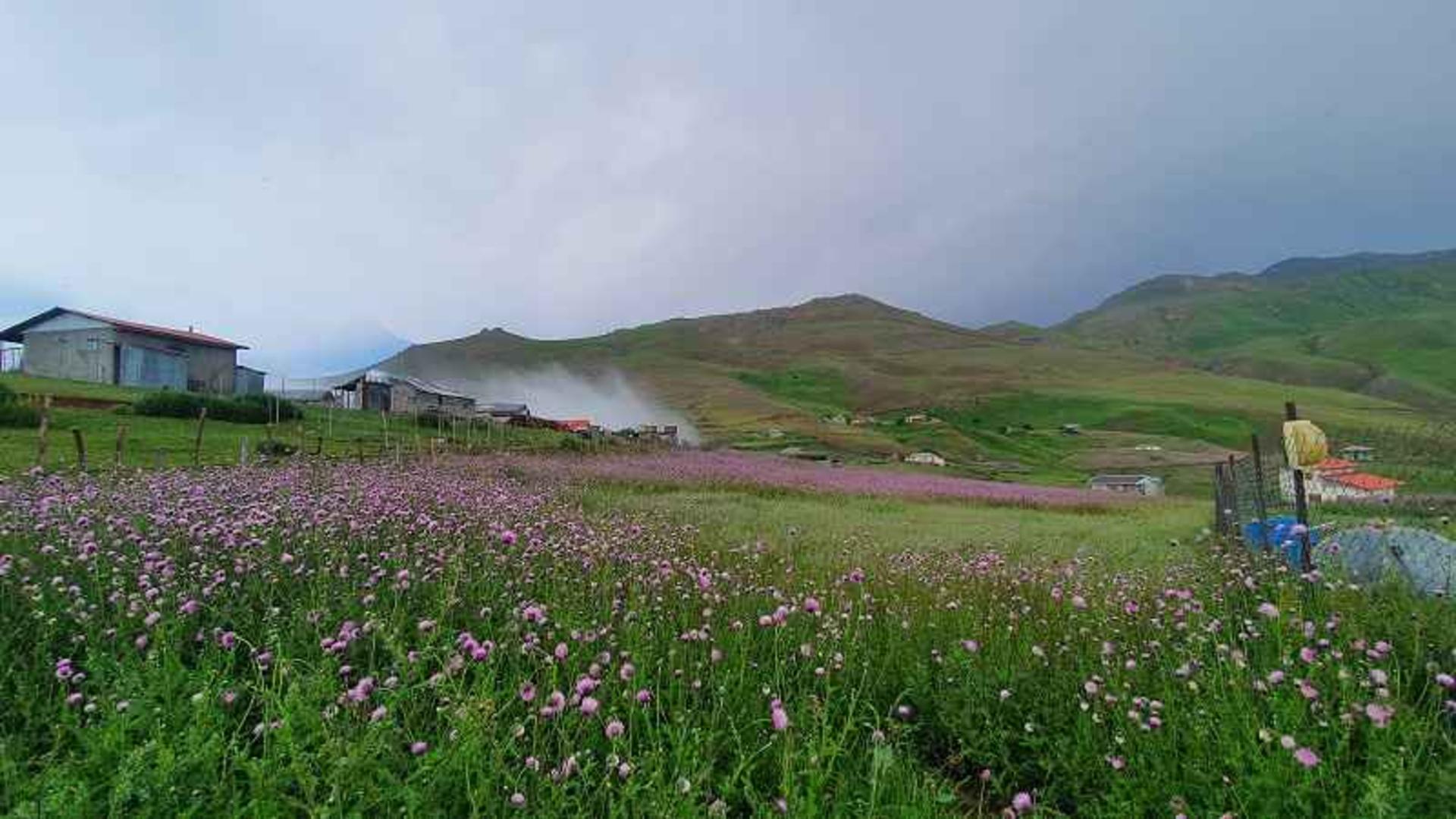 سوباتان گوگل مپ