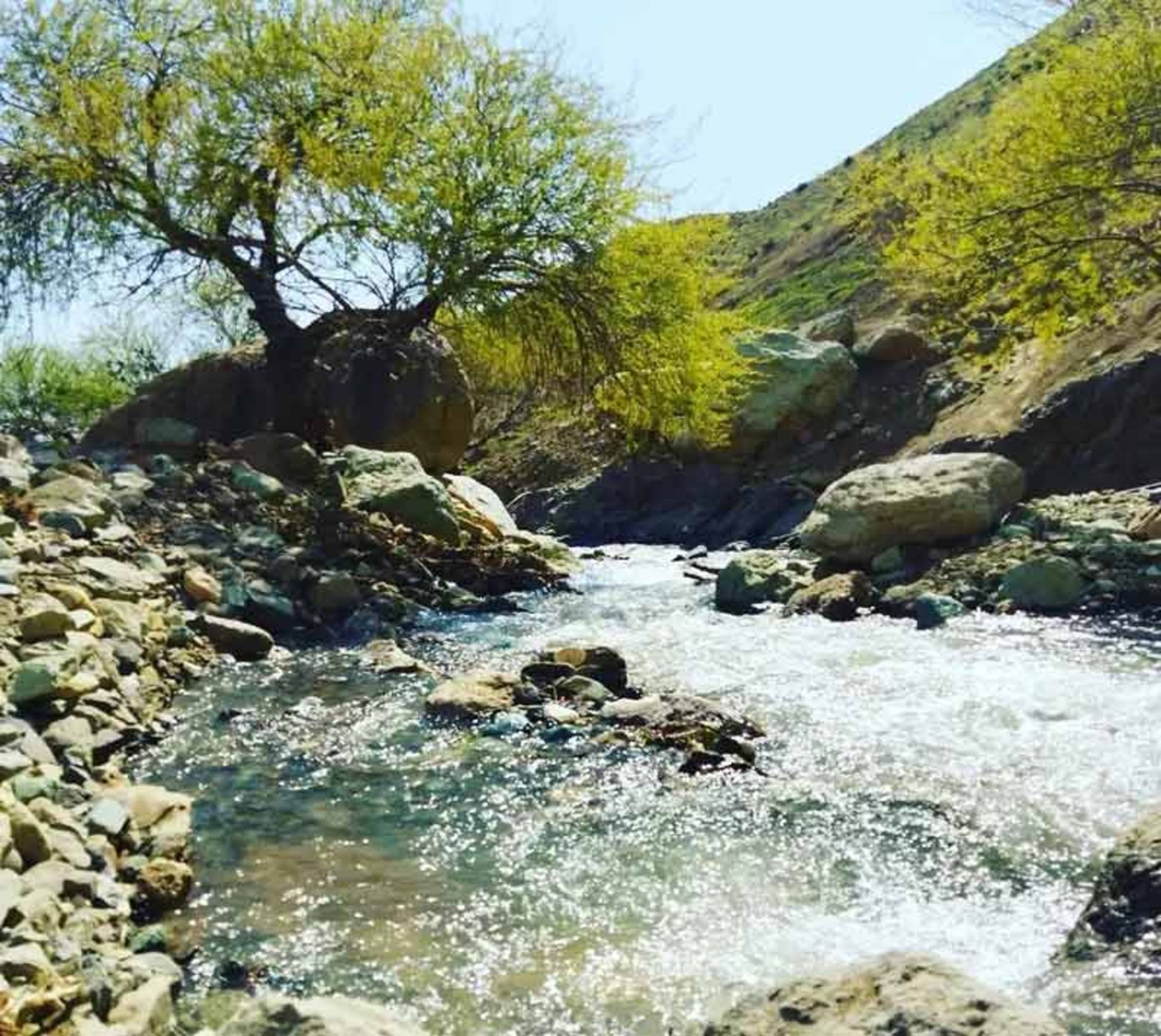 رودخانه خروشان و درخت سرسبز در طبیعت روستای وردیج، صفحه اینستاگرام روستای وردیج (vardij_village@)، عکاس نامشخص