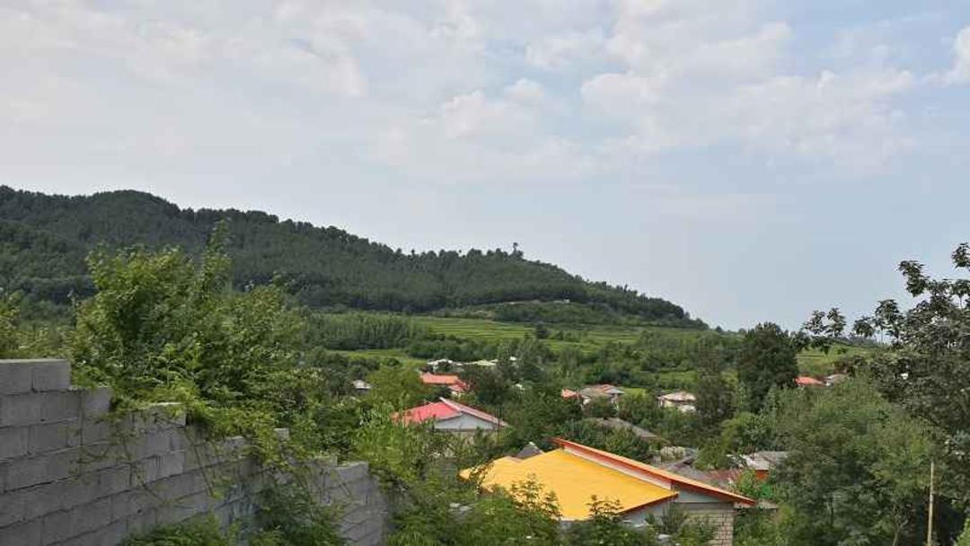 کله سرا گوگل مپ جواد زینتی