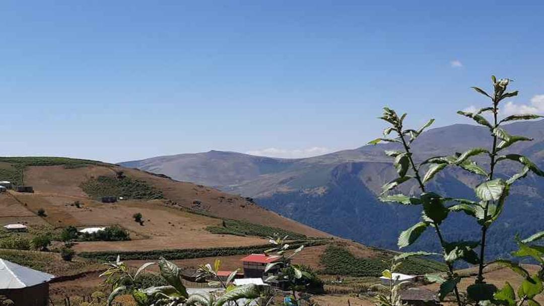 خطبه سرا گوگل مپ امیر یگانی نژاد