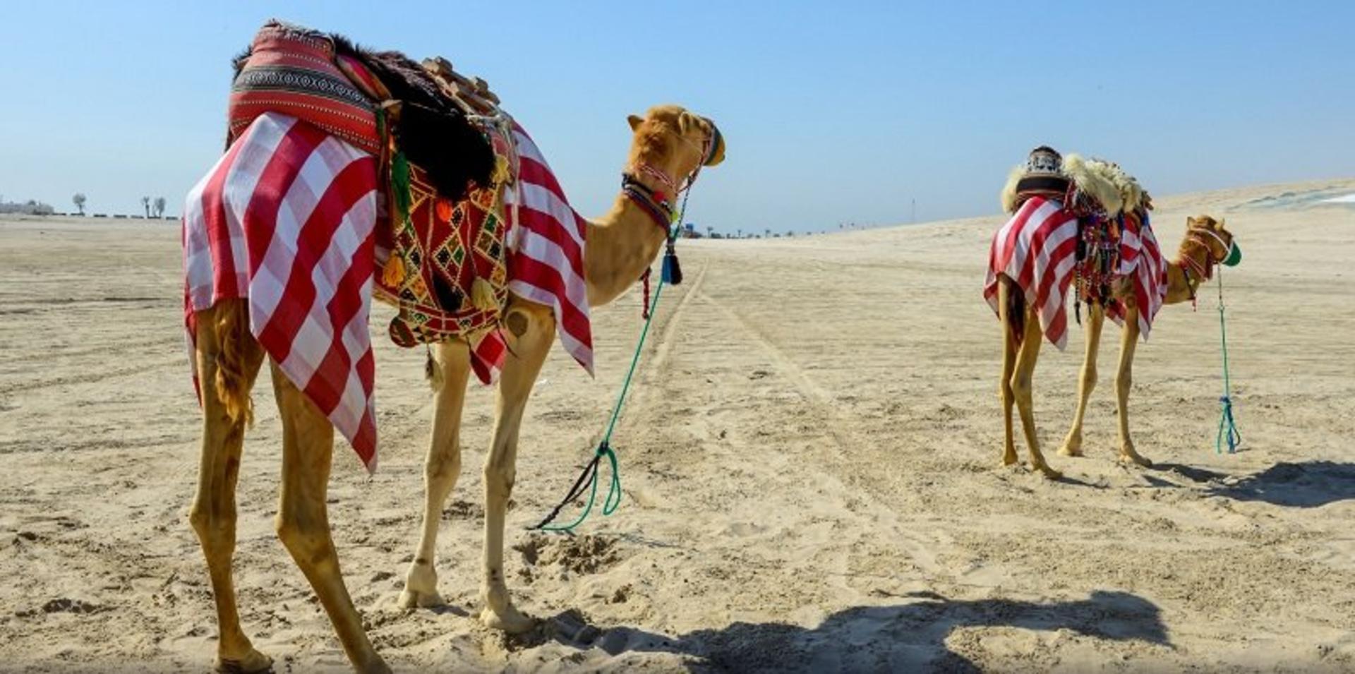 کاروان شتر خورالعدید-منبع عکس expedia.com- عکاس نامشخص.jpg