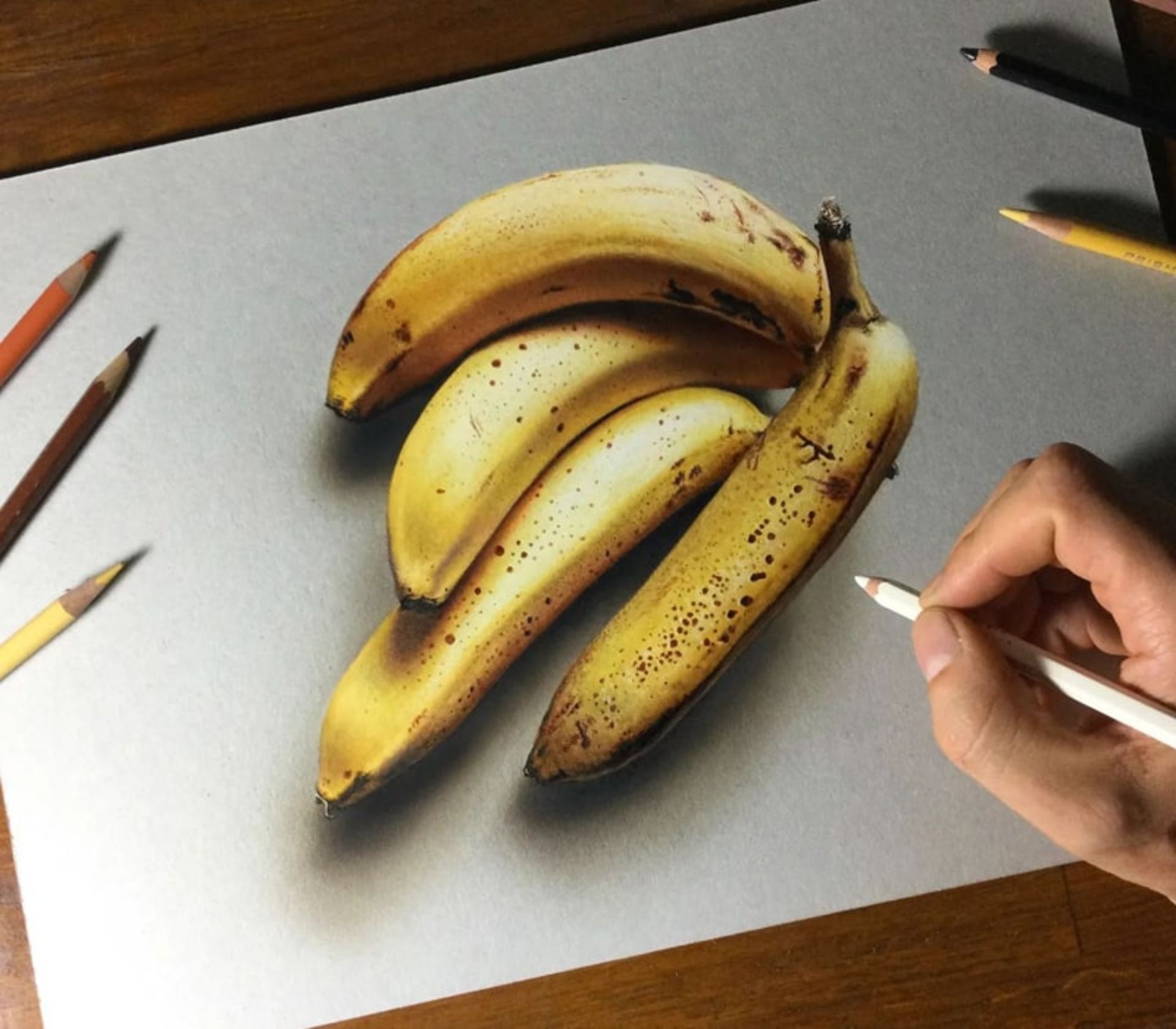 نقاشی سه بعدی موز