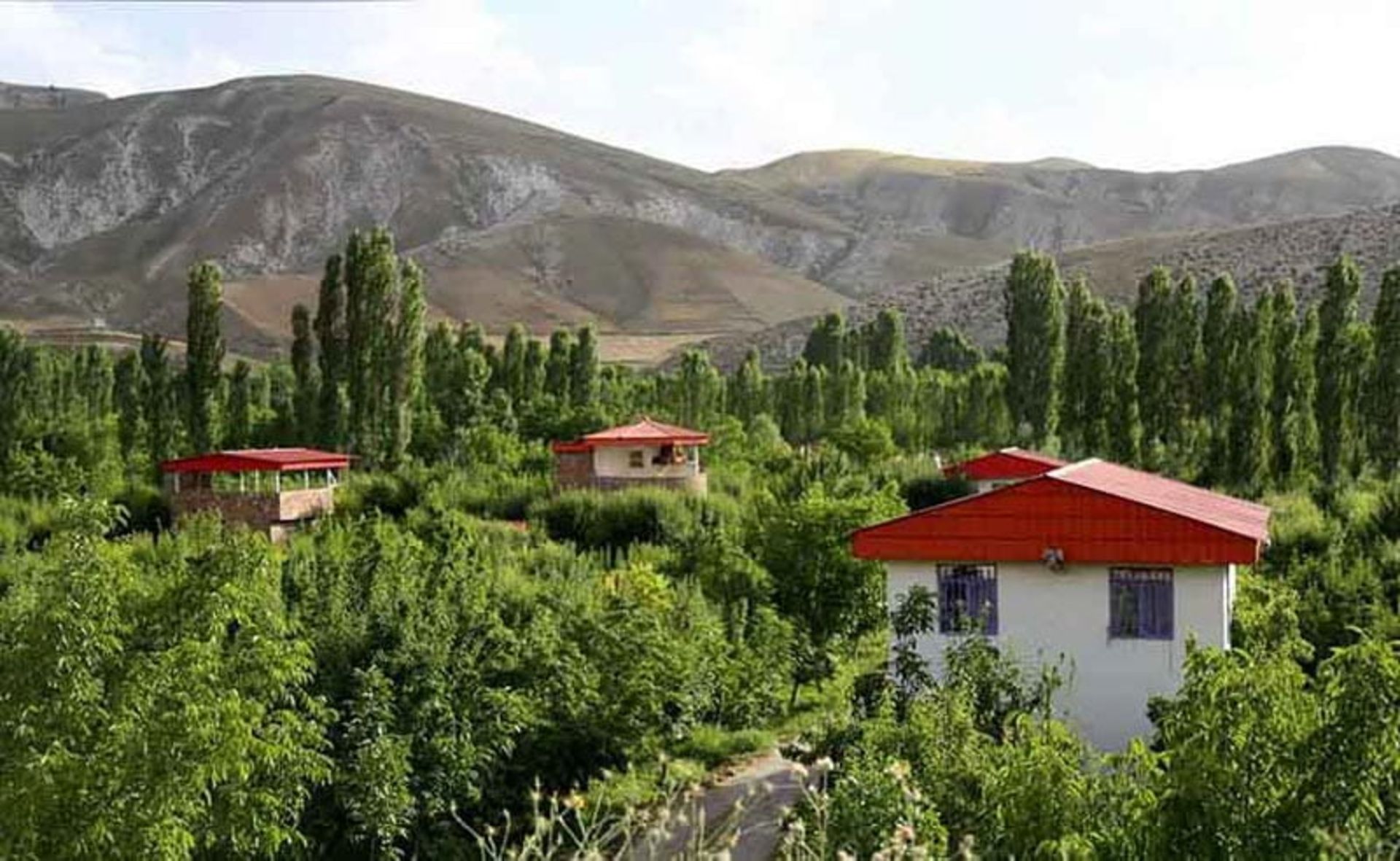 خانه های ییلاقی با سقف شیروانی قرمز در روستای کردان میان درختان سرسبز، مجله میزبون، عکاس نامشخص