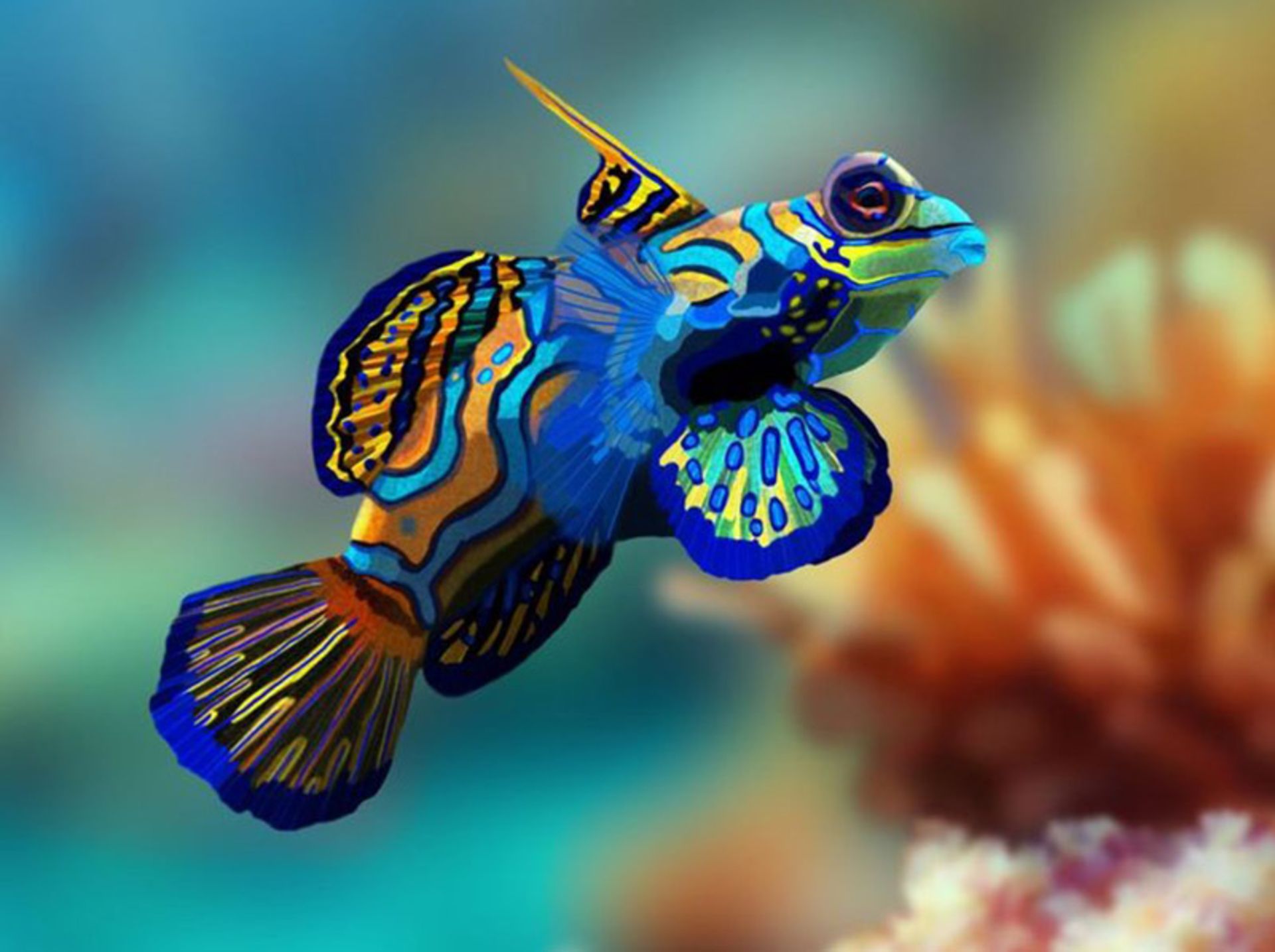 ماهی ماندارین (Mandarin-Fish)
