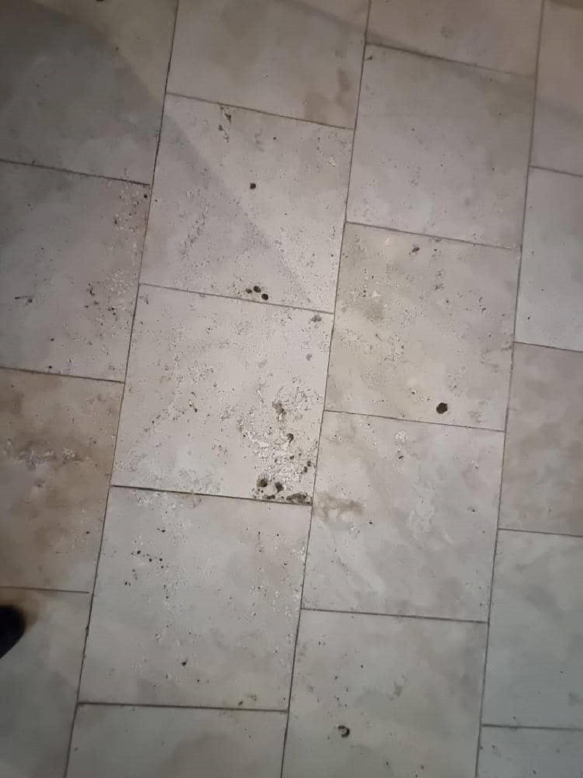 شرایط نامساعد کفپوش موزه