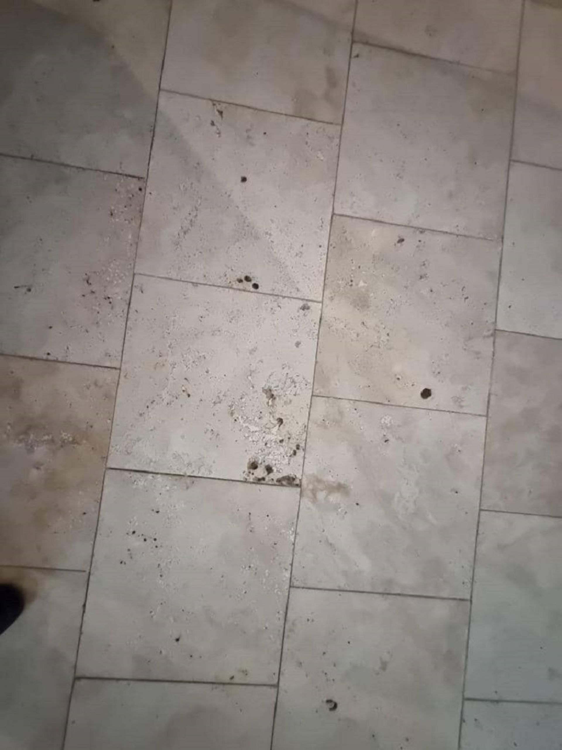 شرایط نامساعد کفپوش موزه