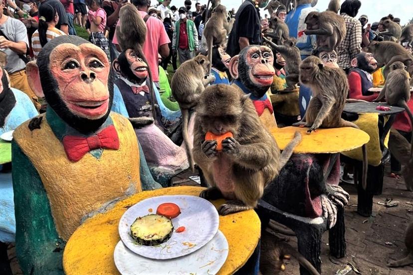 مجسمه های میمون در جشنواره میمون‌ لوپبوری
