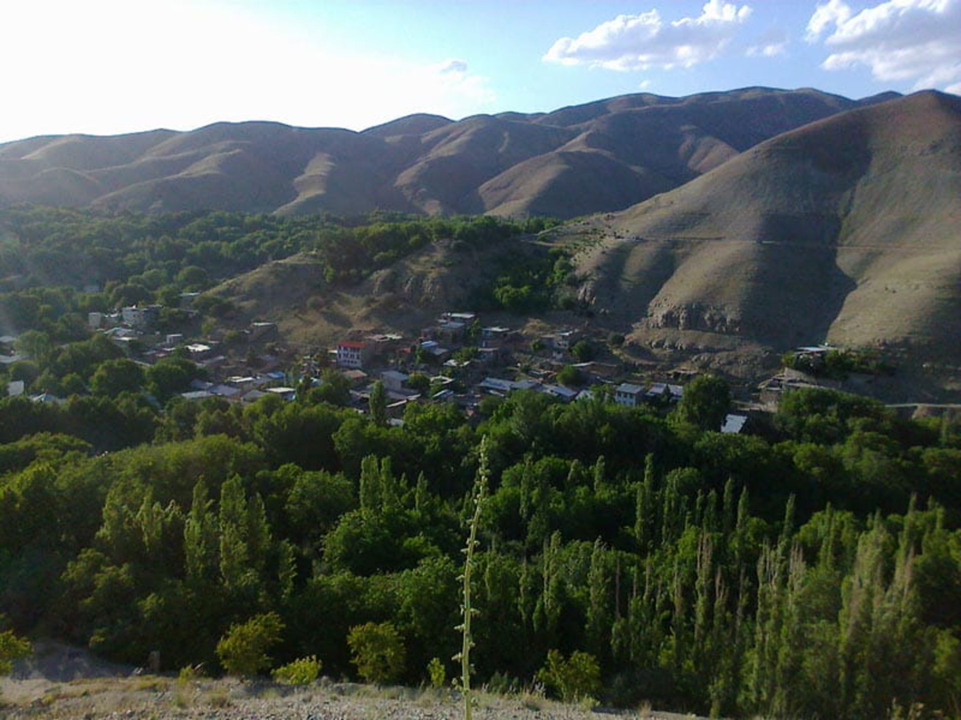 درختان سبز در دامنه کوهستانی با چشم انداز روستای برغان، ویکی پدیا، عکاس نامشخص