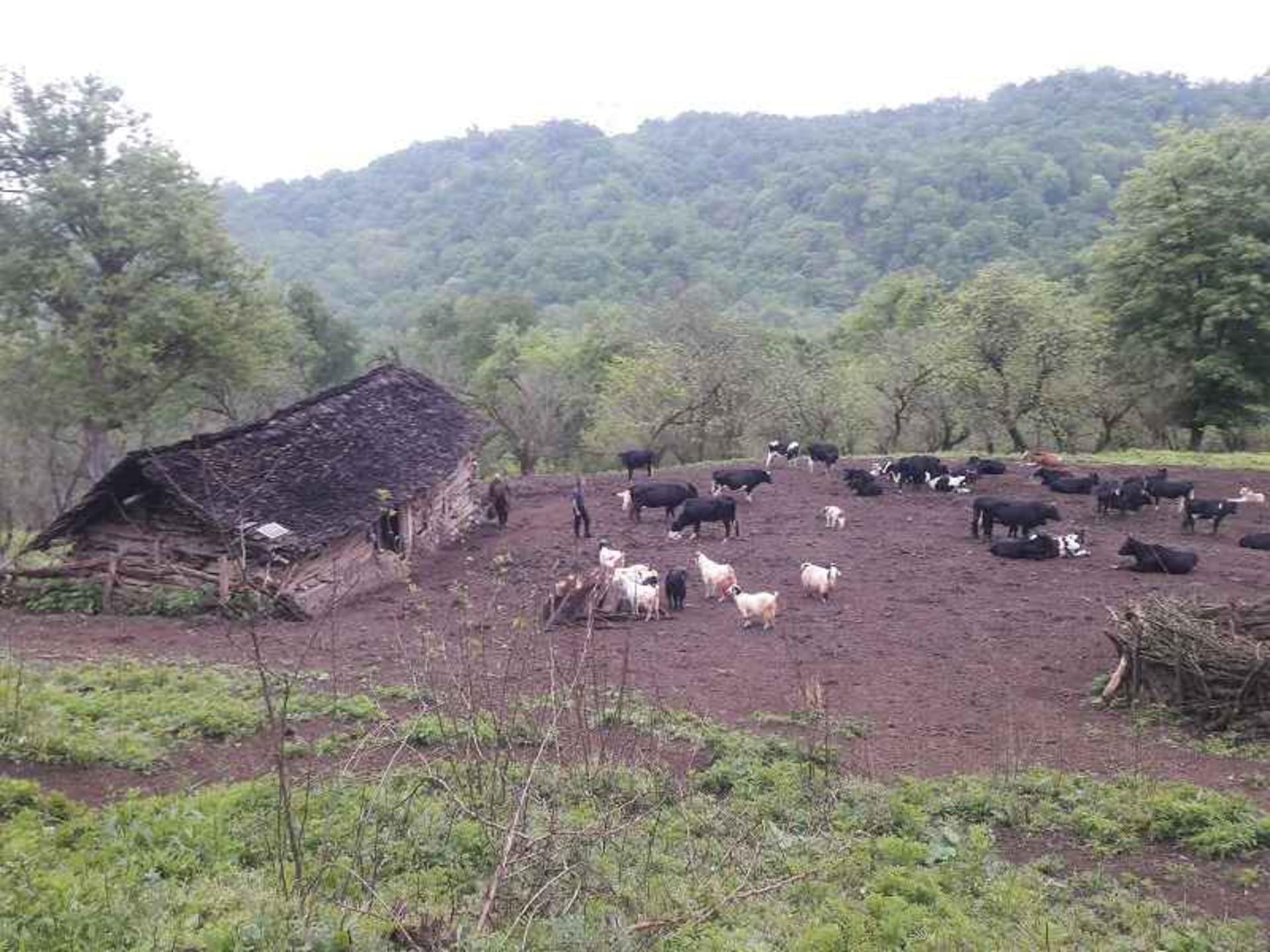 روستای بلیران