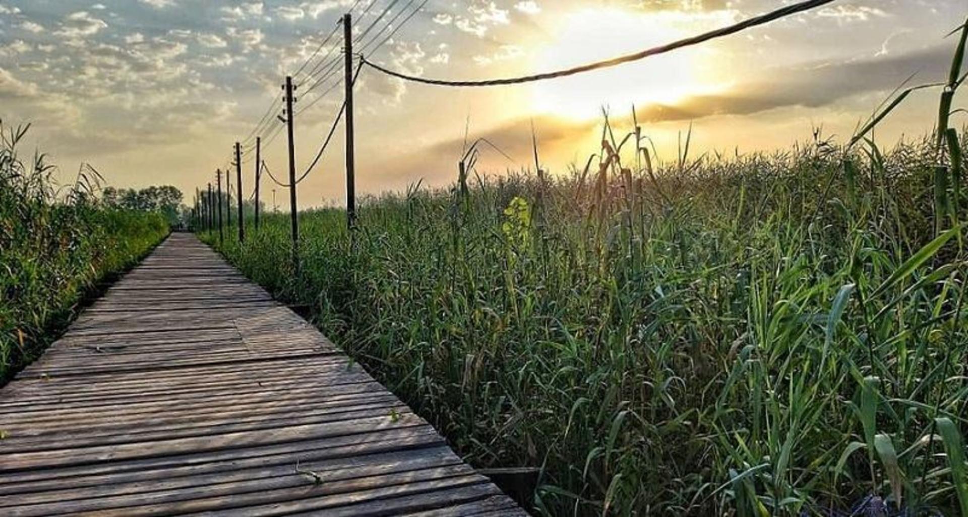 پل چوبی و طبیعت پل چوبی کیاشهر