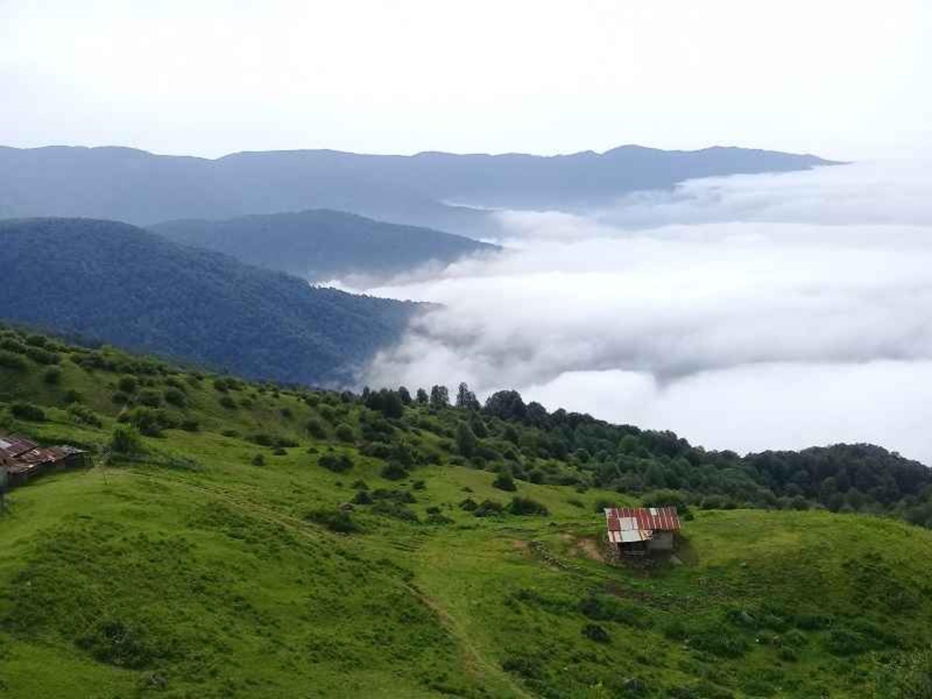 هلودشت گوگل مپ علی نصری