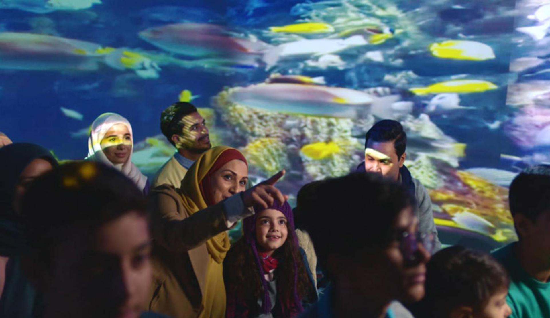 بازدیدکنندگان هیومن پارک