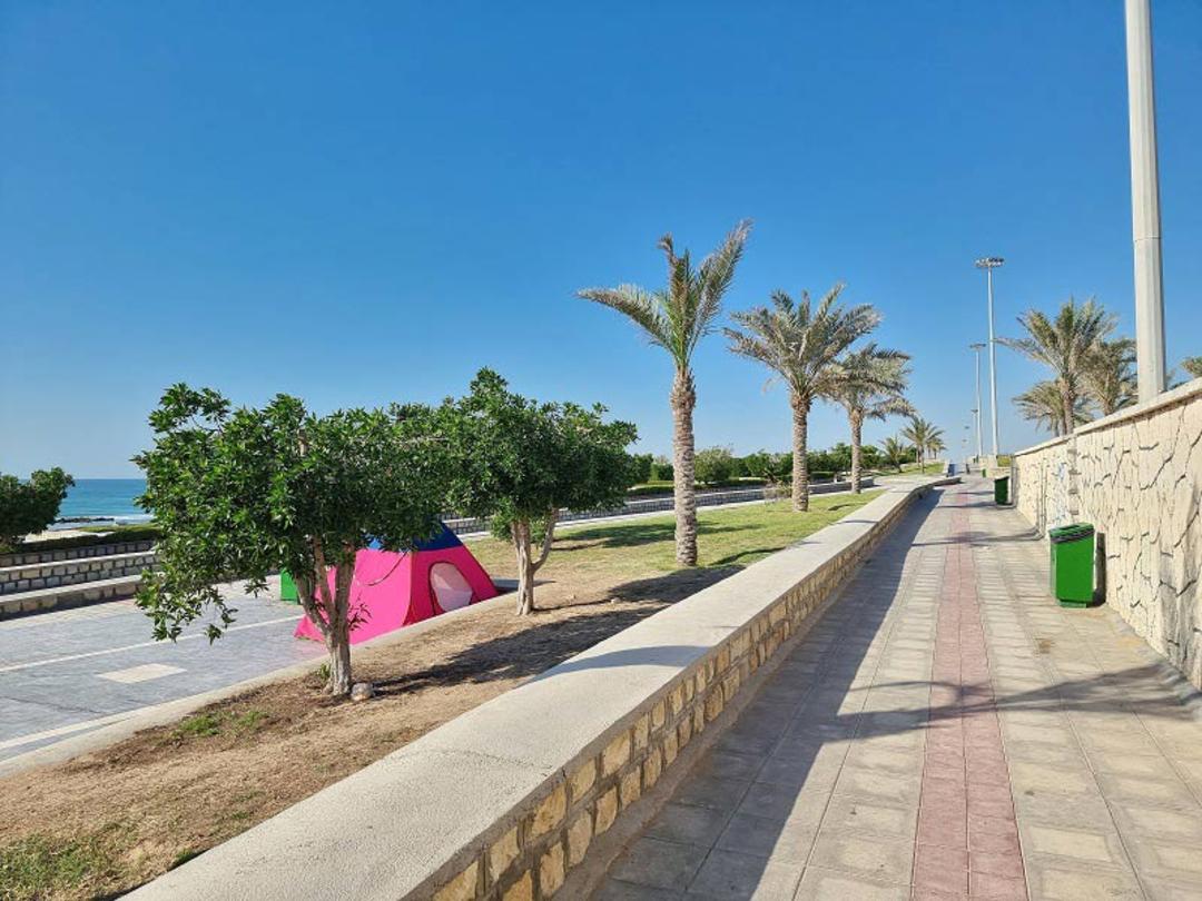 پیاده راه و درختان نخل در پارک ساحلی آفتاب قشم