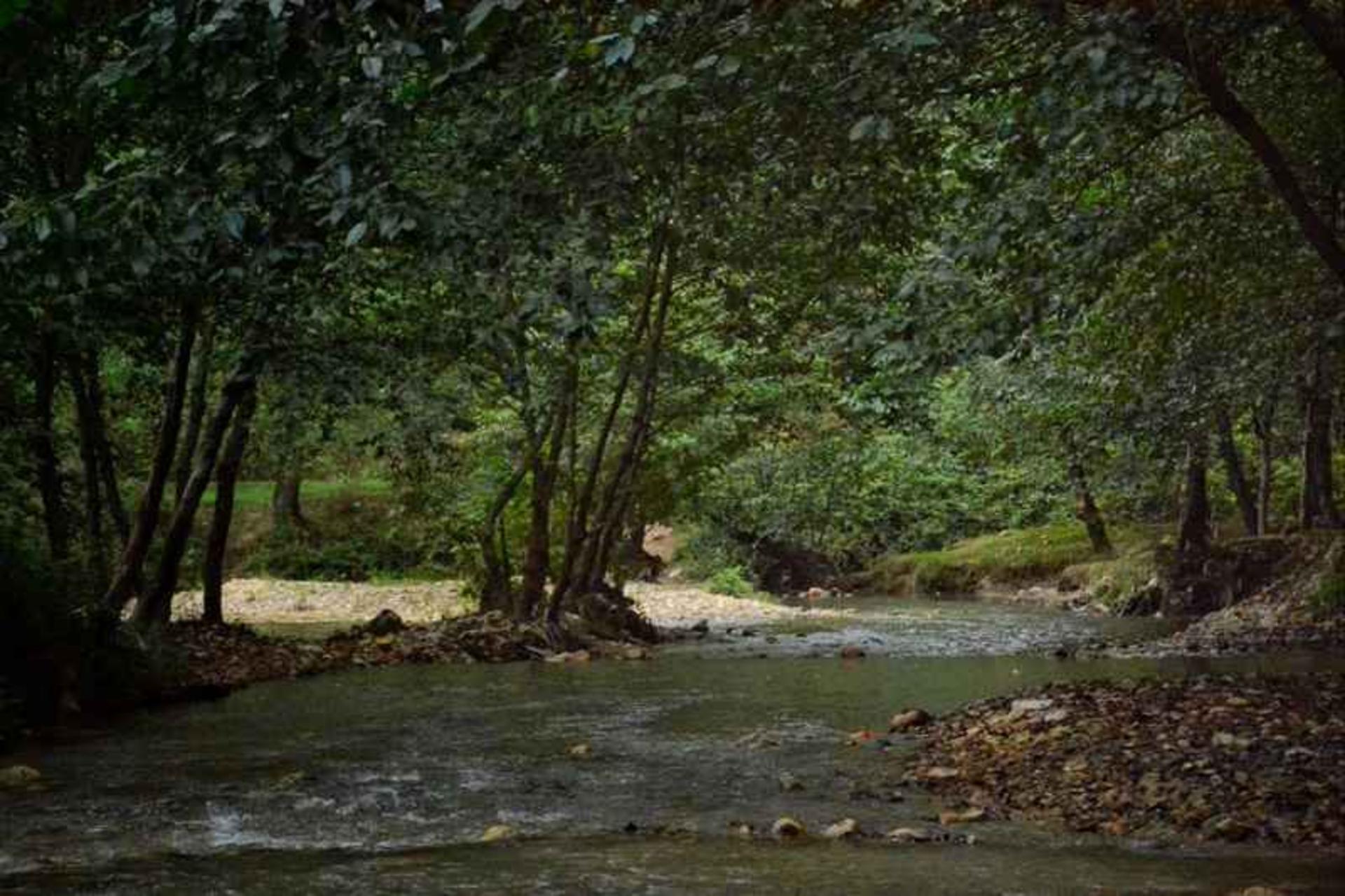 روستای بلیران