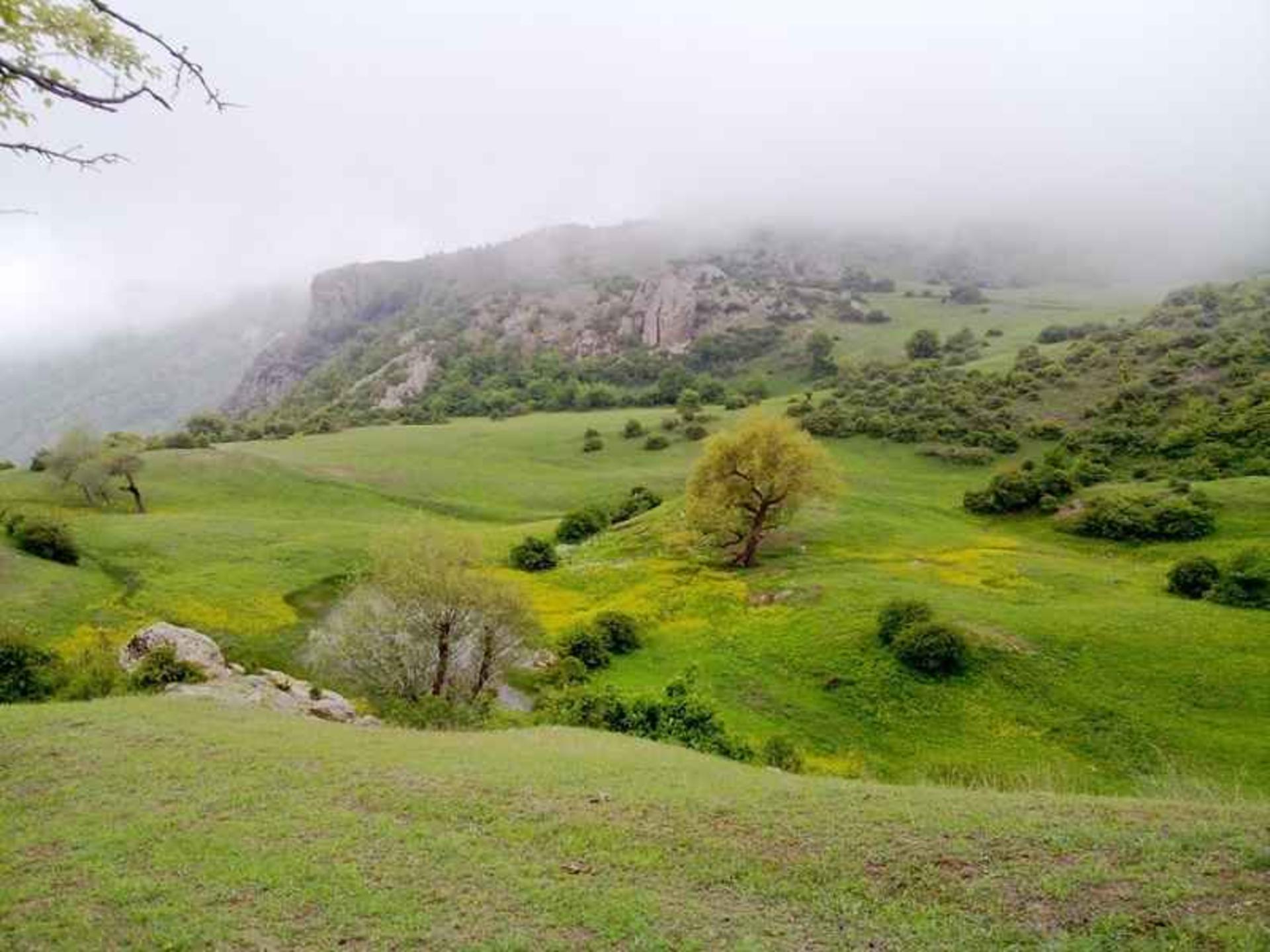 ملومه گوگل مپ