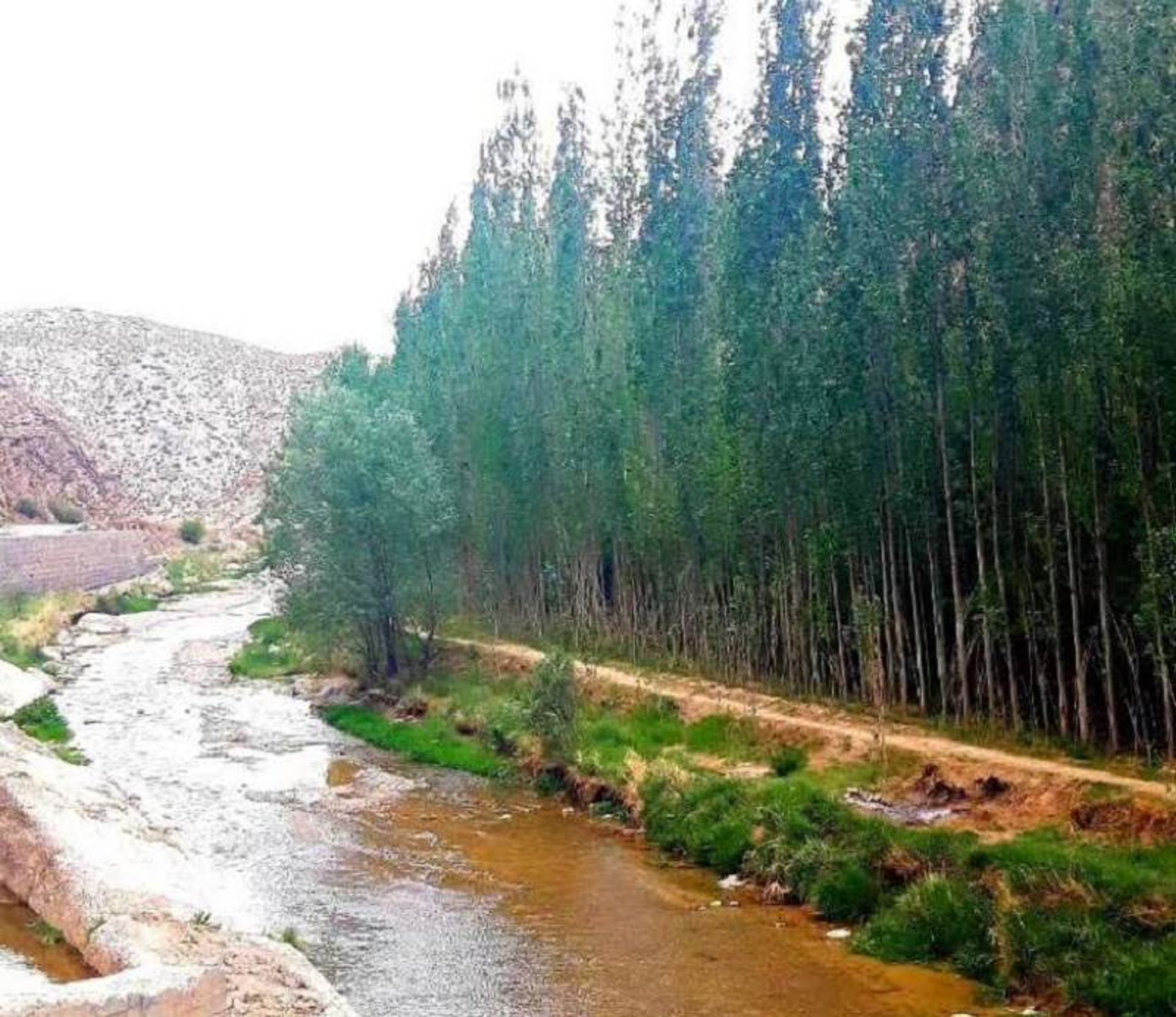 روستای دربادام قوچان