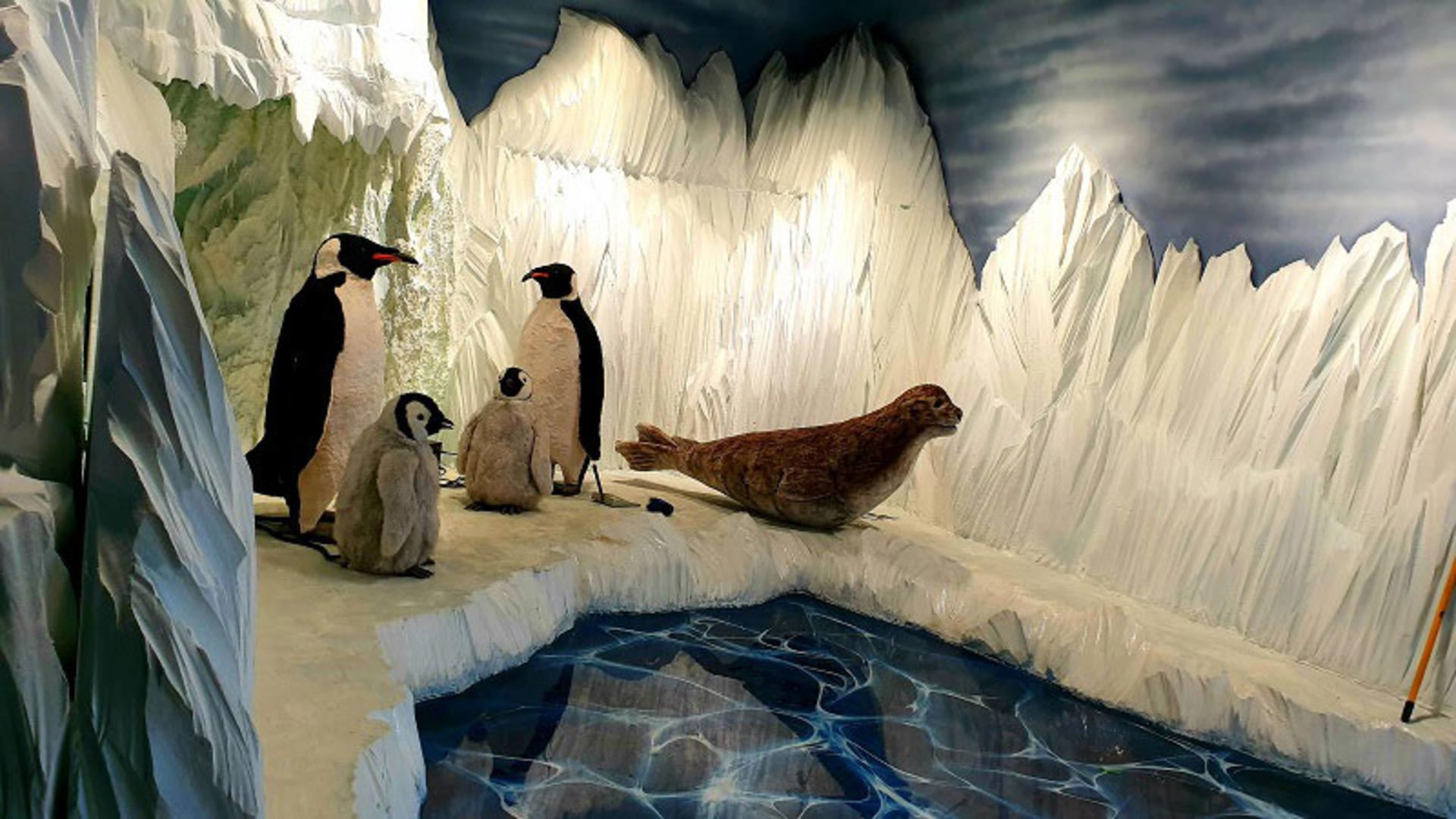 بخش قطب در اقیانوس پارک تهران؛ منبع عکس: iran-fun.ir؛ عکاس: ناشناس