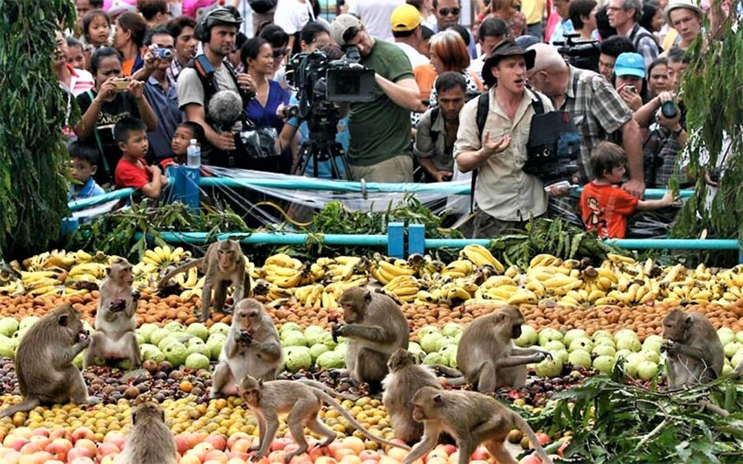 گردشگران در جشنواره میمون‌ لوپبوری