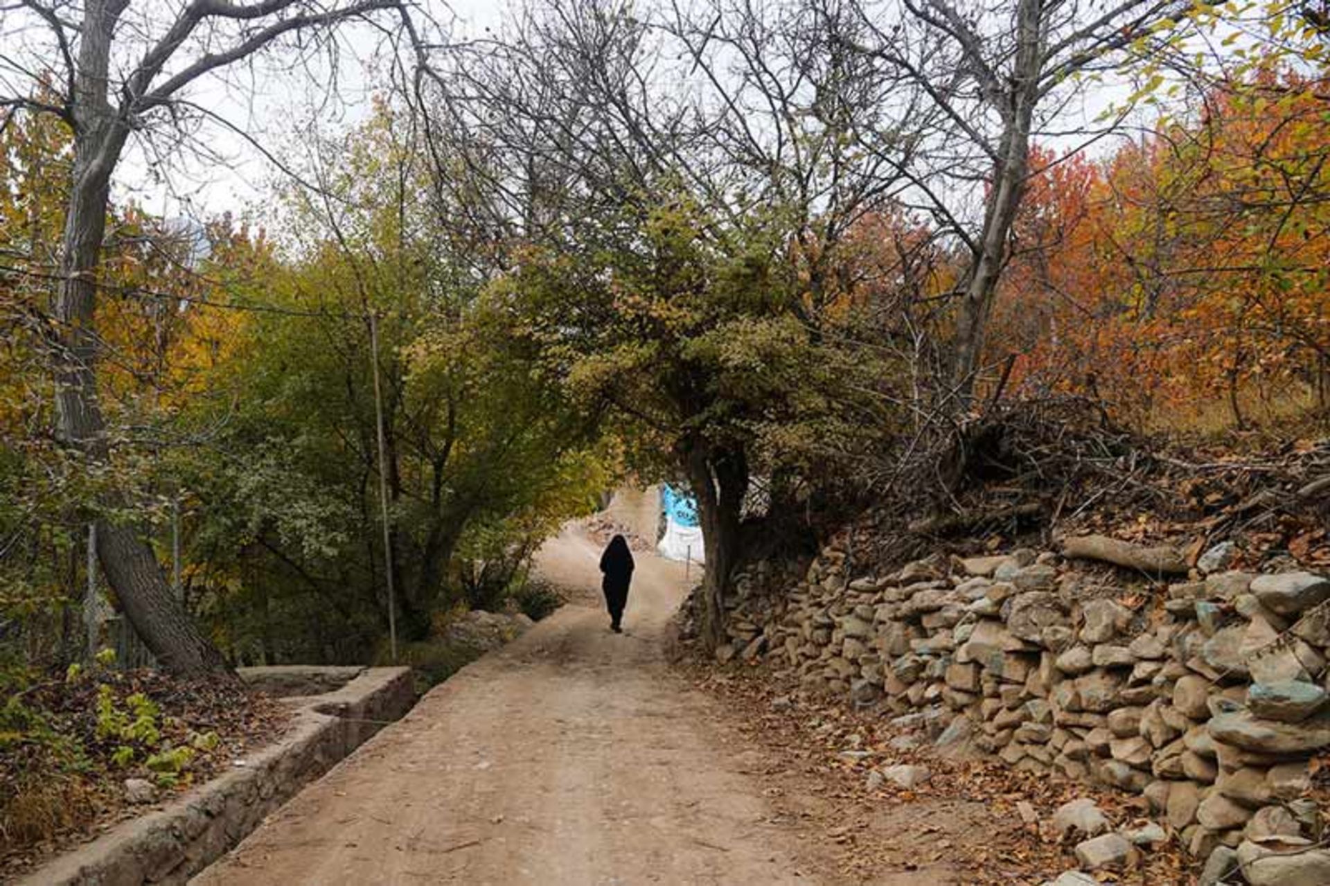 طبیعت پاییزی روستای آهار در گذر بانوی روستایی، همشهری آنلاین، عکاس نامشخص
