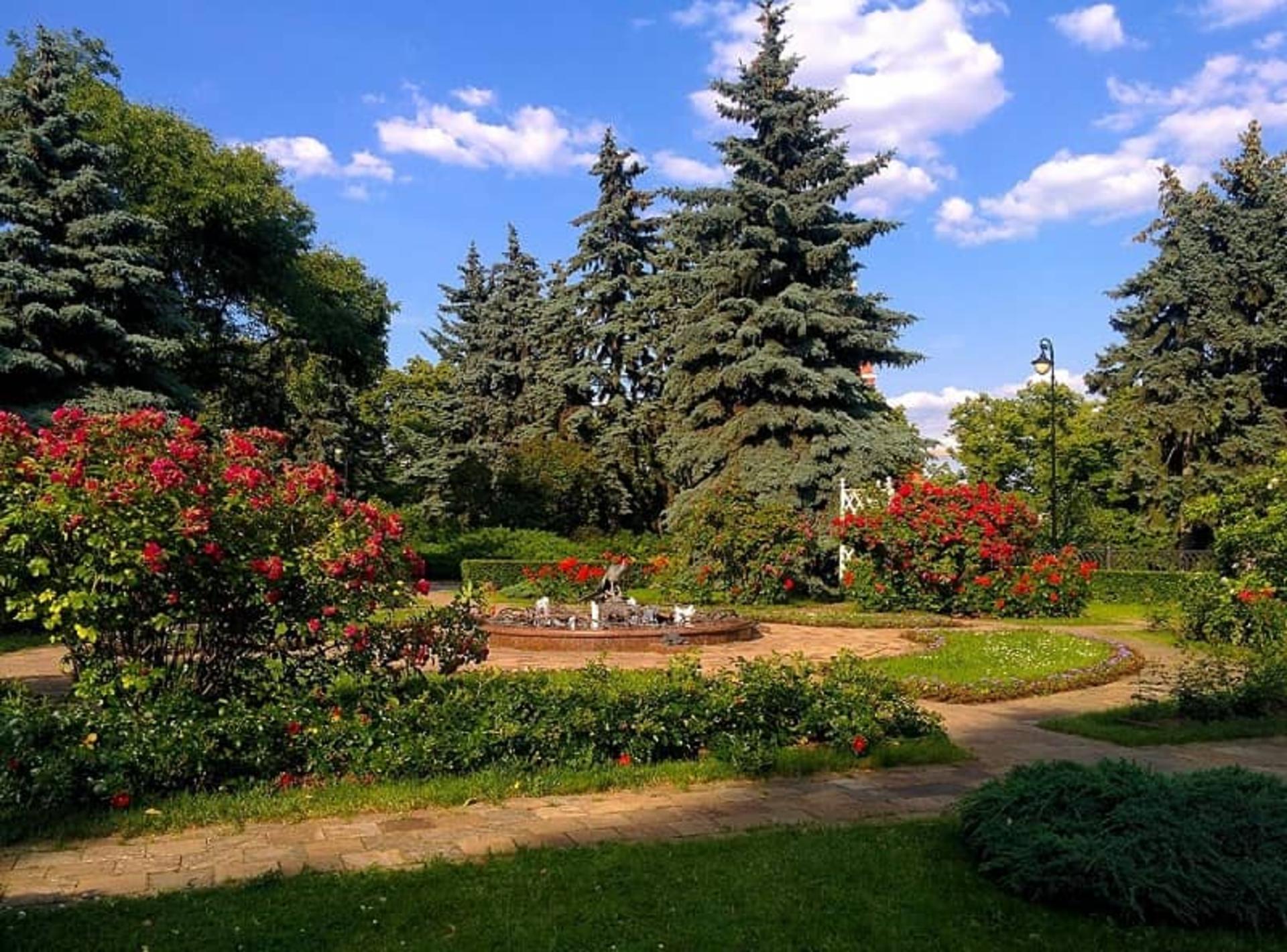 باغ تاینیتسکی