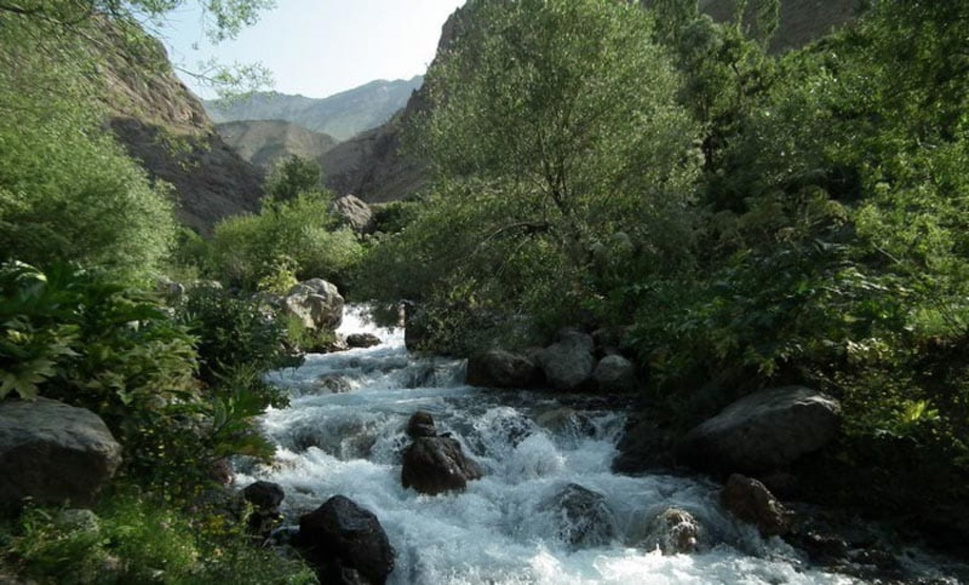 رودخانه خروشان لالان در دره لالان میان بوته های سرسبز، خبرگزاری دانا، عکاس نامشخص