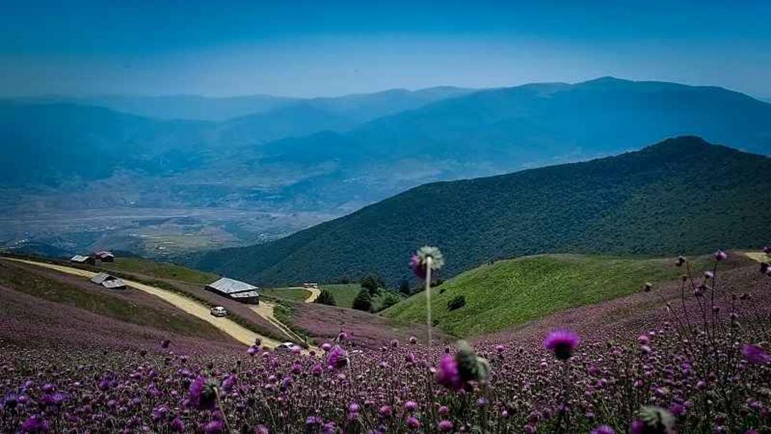 سلانسر گوگل مپ مهدی سفر زاده