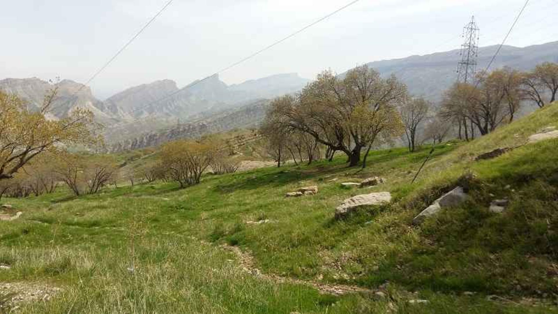 طبیعت بکر پارک منایع طبیعی ایلام؛ منبع عکس: گوگل مپ؛ عکاس: mo mo